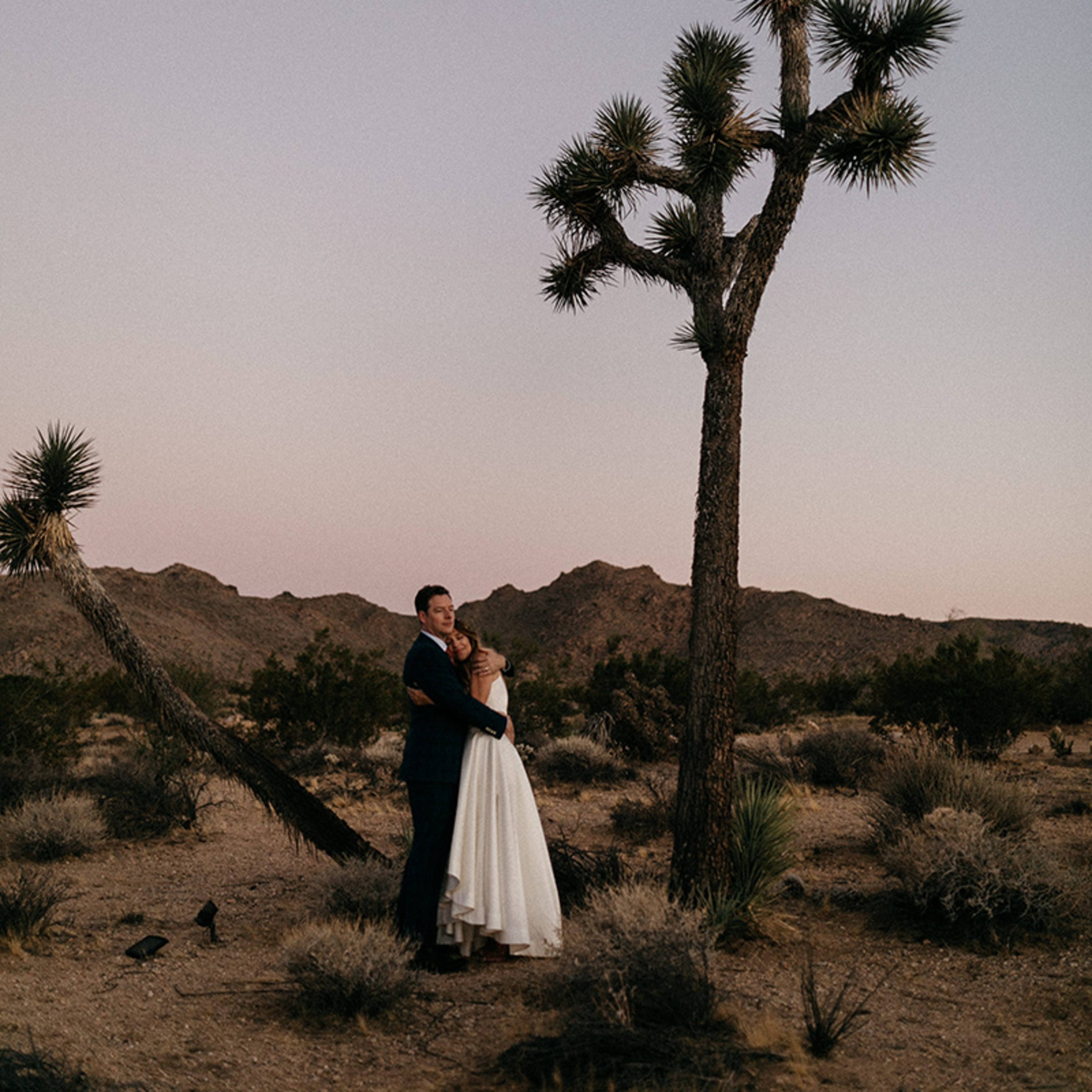 A married couple embraces near a Joshua tree in a desert landscape at dusk.