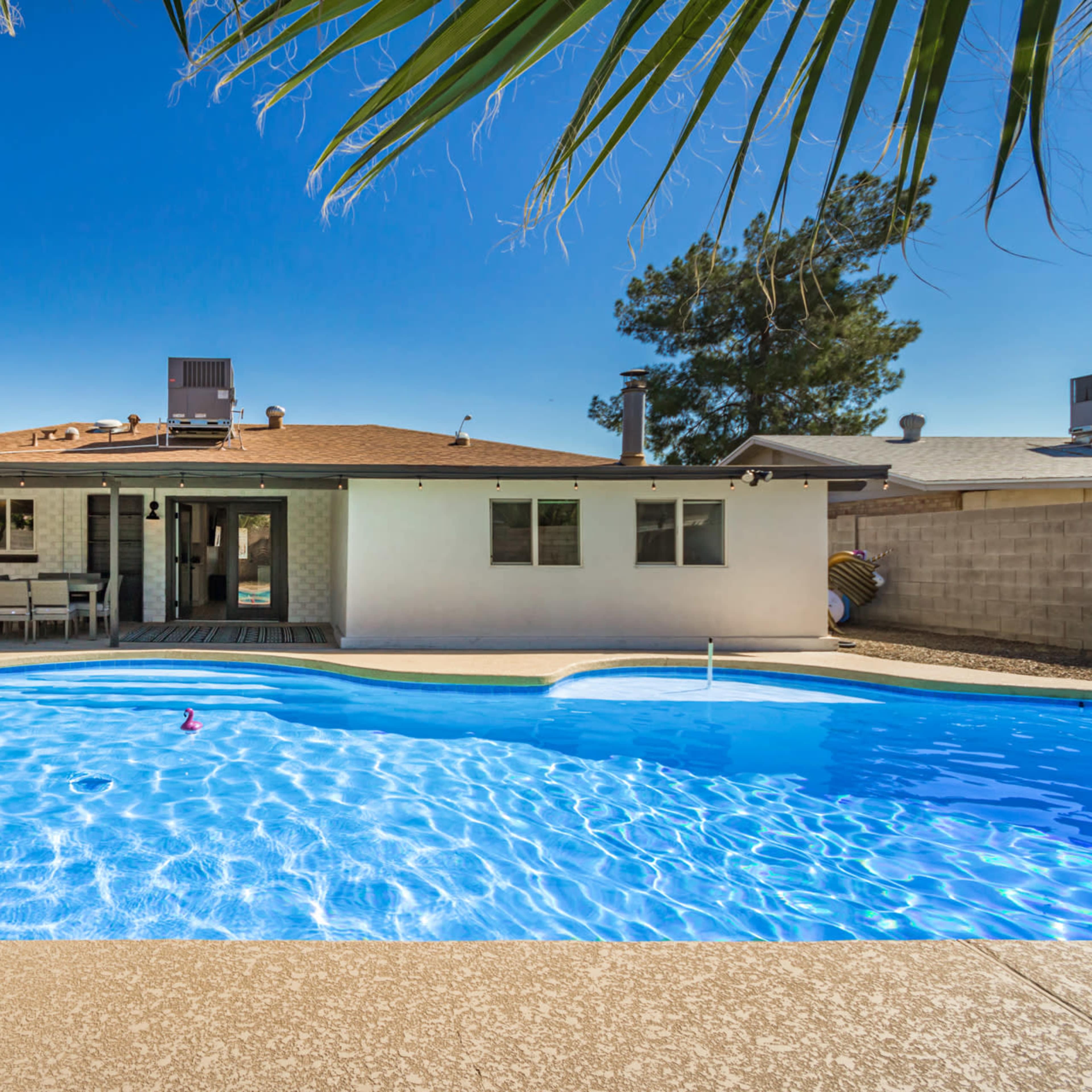A backyard with a swimming pool, several lounge chairs, and a single-story house in the background.