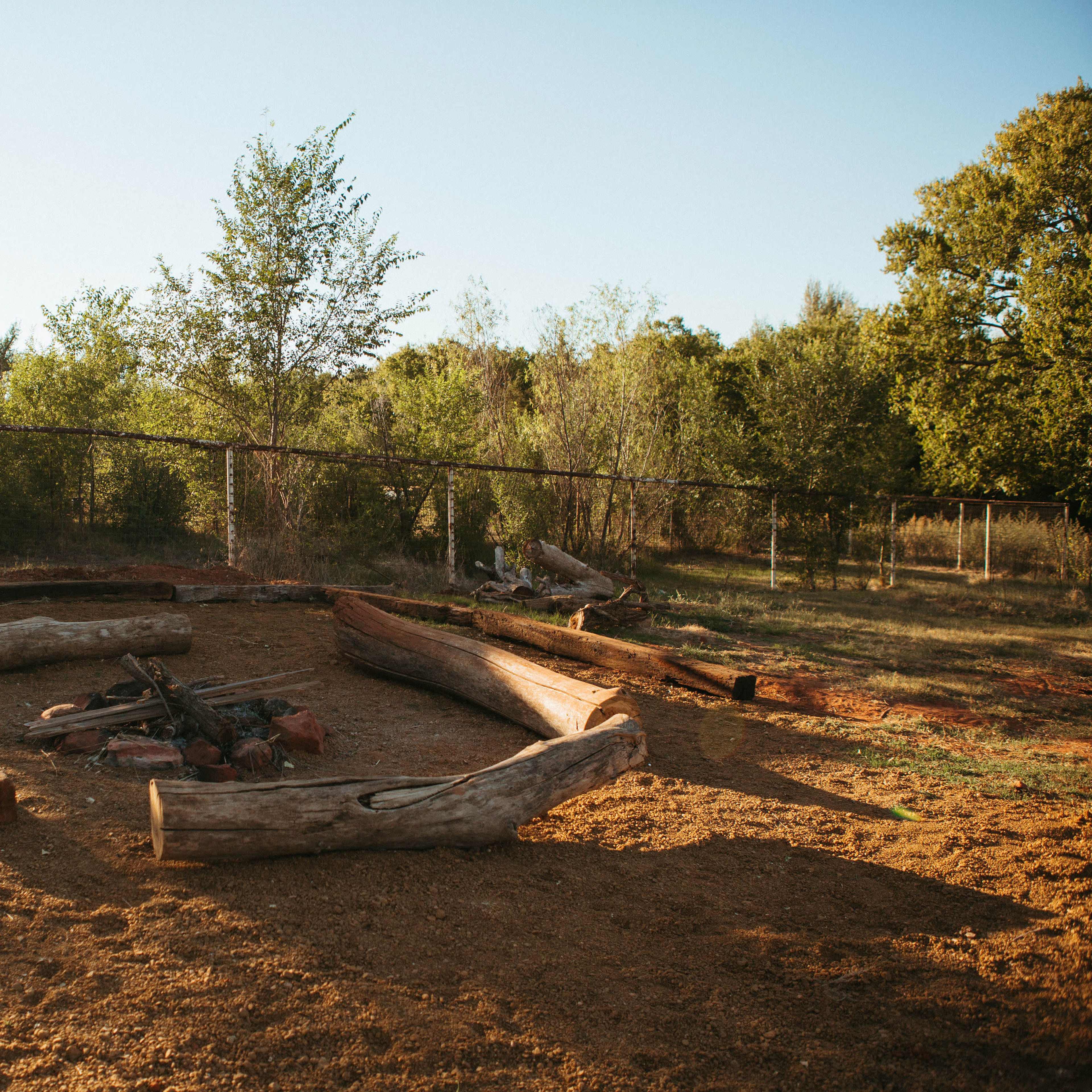 A fire pit surrounded by logs in a wooded outdoor area within a fenced space.