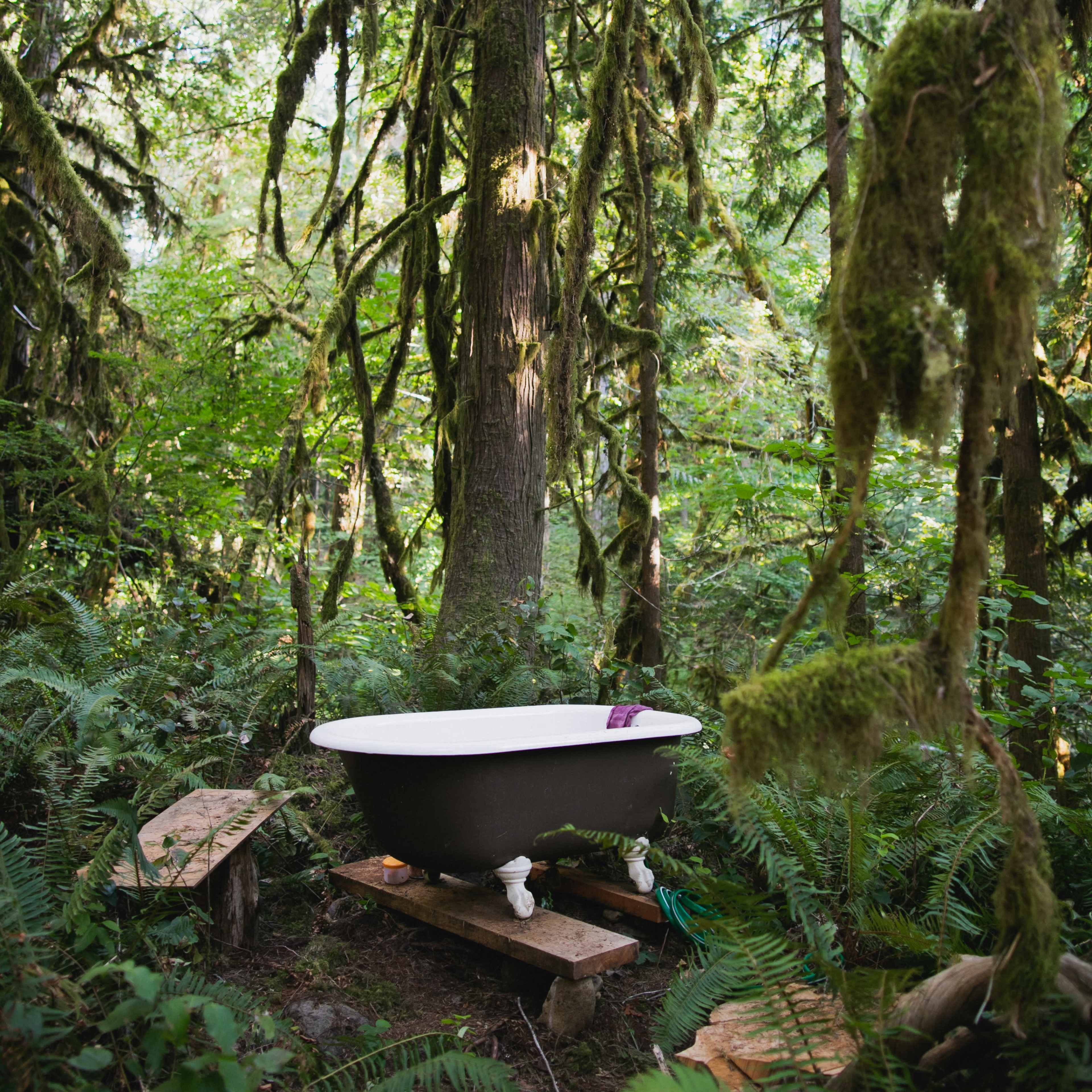 A vintage bathtub sits on wooden planks in a lush, green forest surrounded by tall trees and ferns.