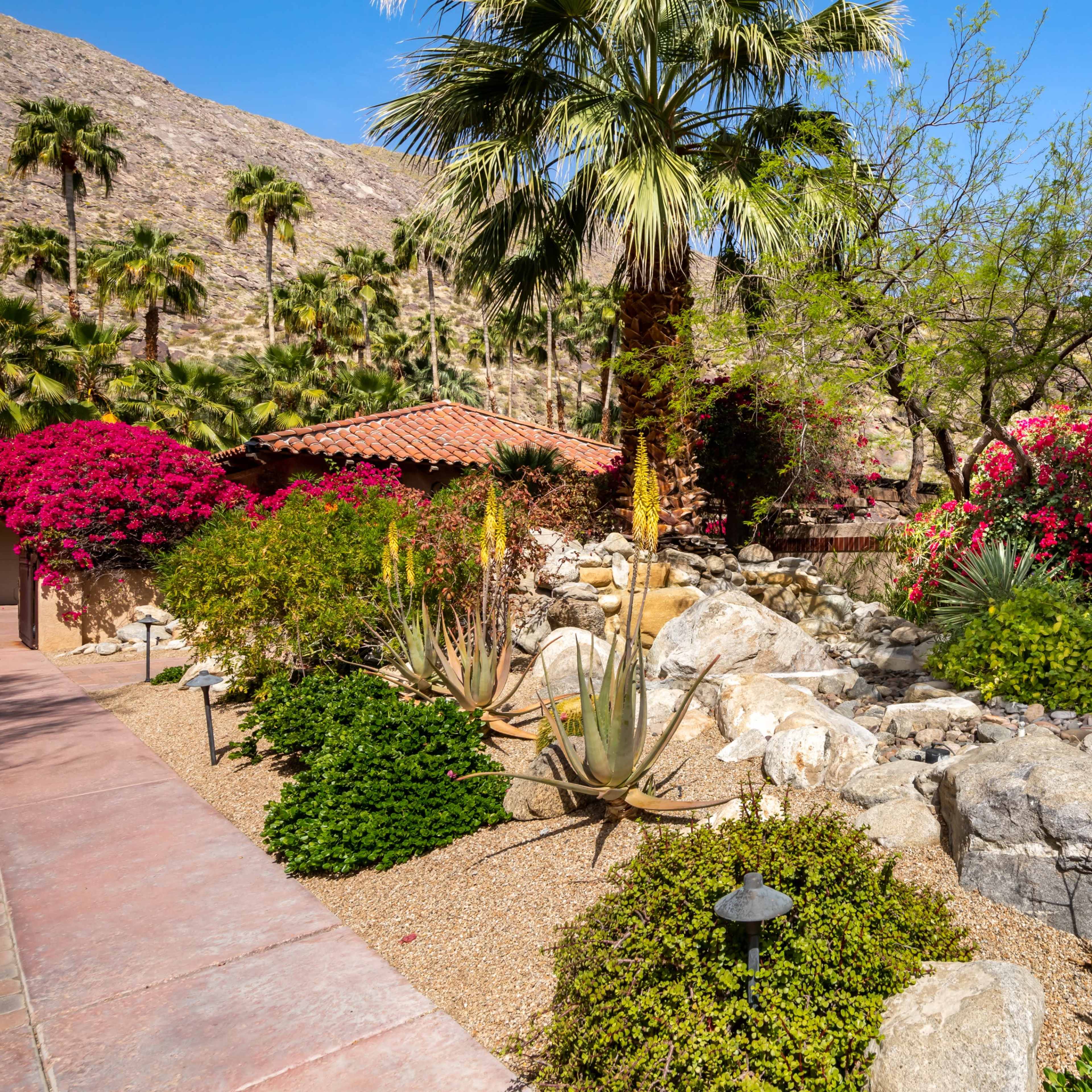 A landscaped garden featuring rocks, desert plants, and colorful bougainvillea near a small building.