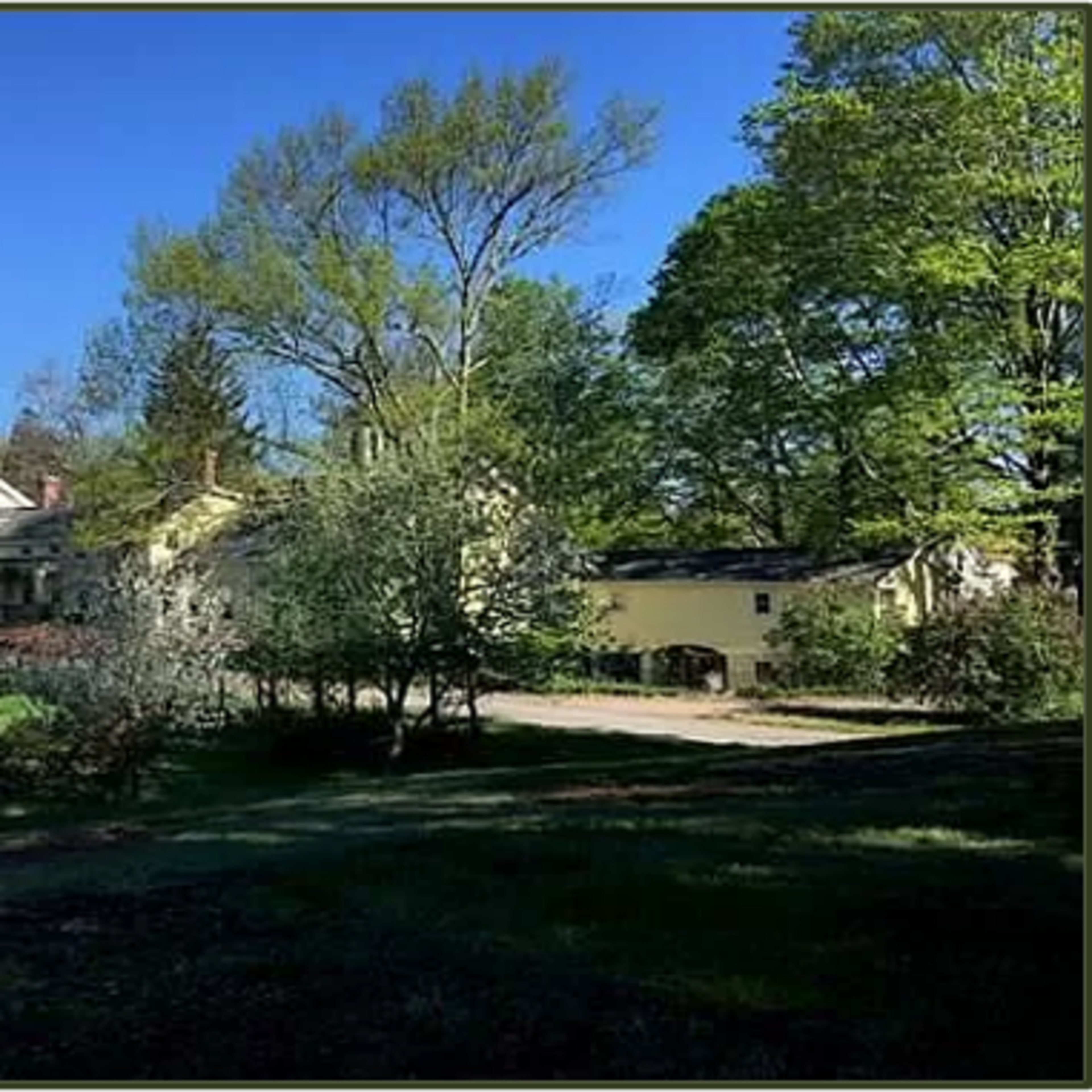 A cluster of houses surrounded by lush greenery and trees under a clear blue sky.