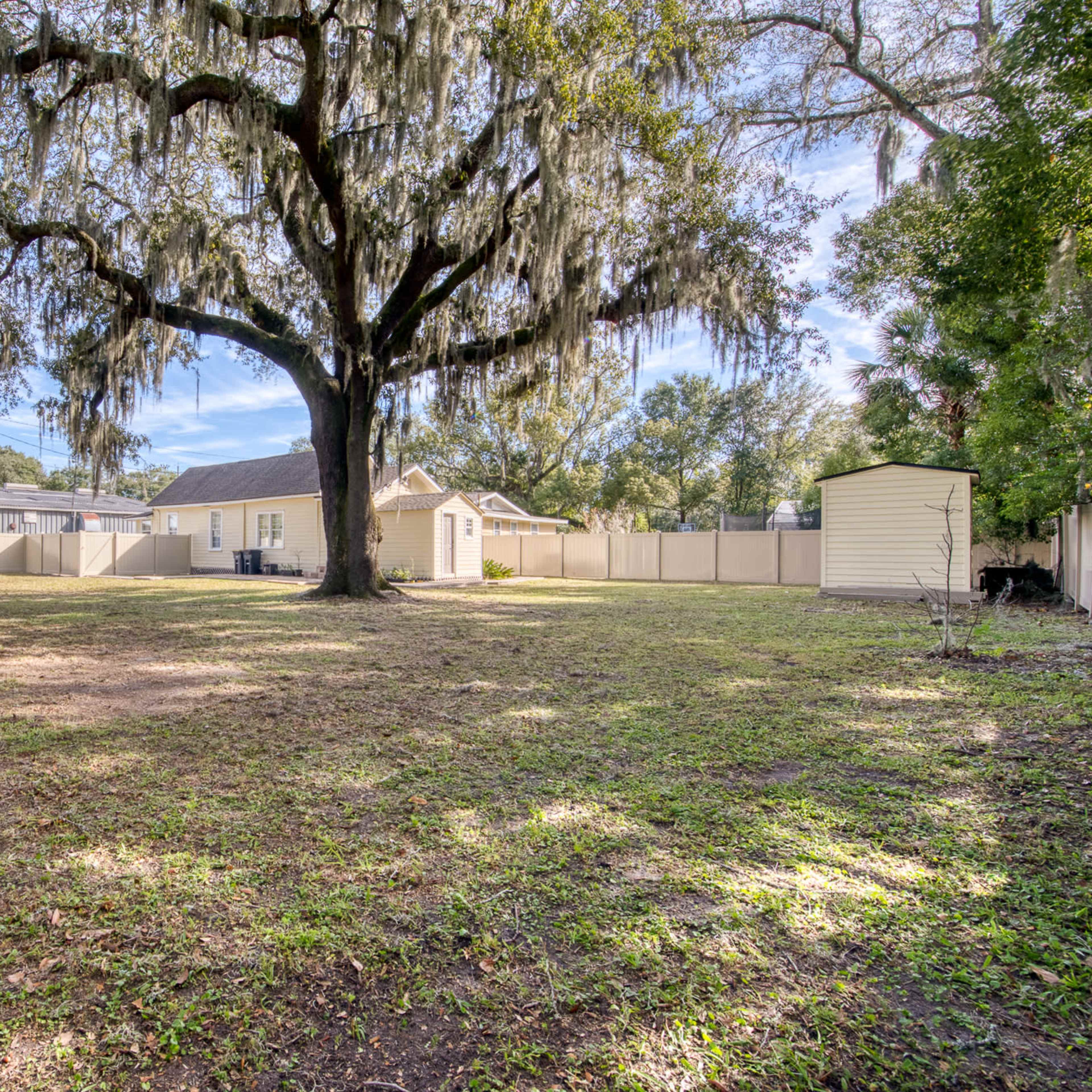A spacious backyard featuring a large tree, with moss hanging from its branches, surrounded by a fence and a small storage shed in the background.