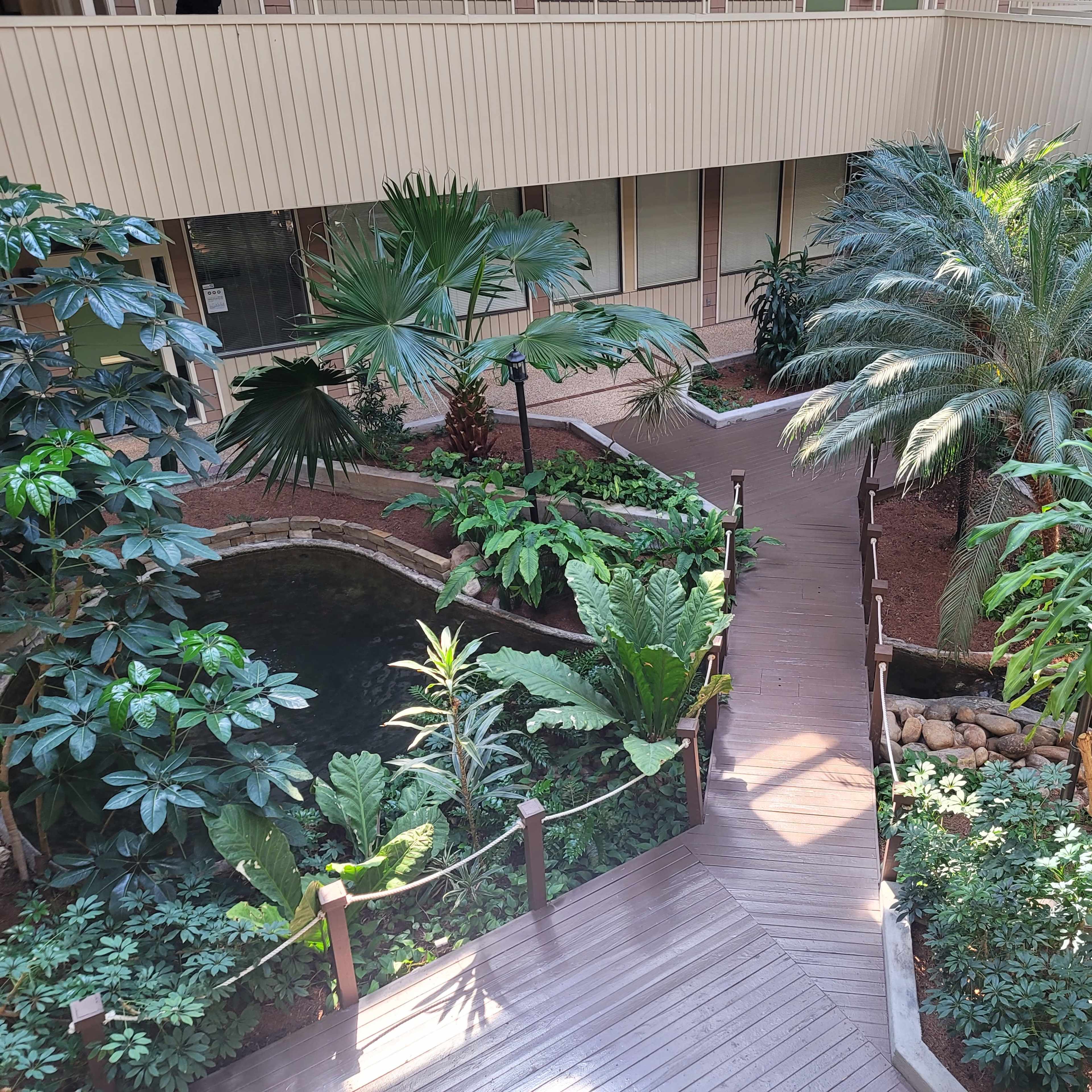 A landscaped indoor garden with a wooden pathway winding through tropical plants and a small pond.
