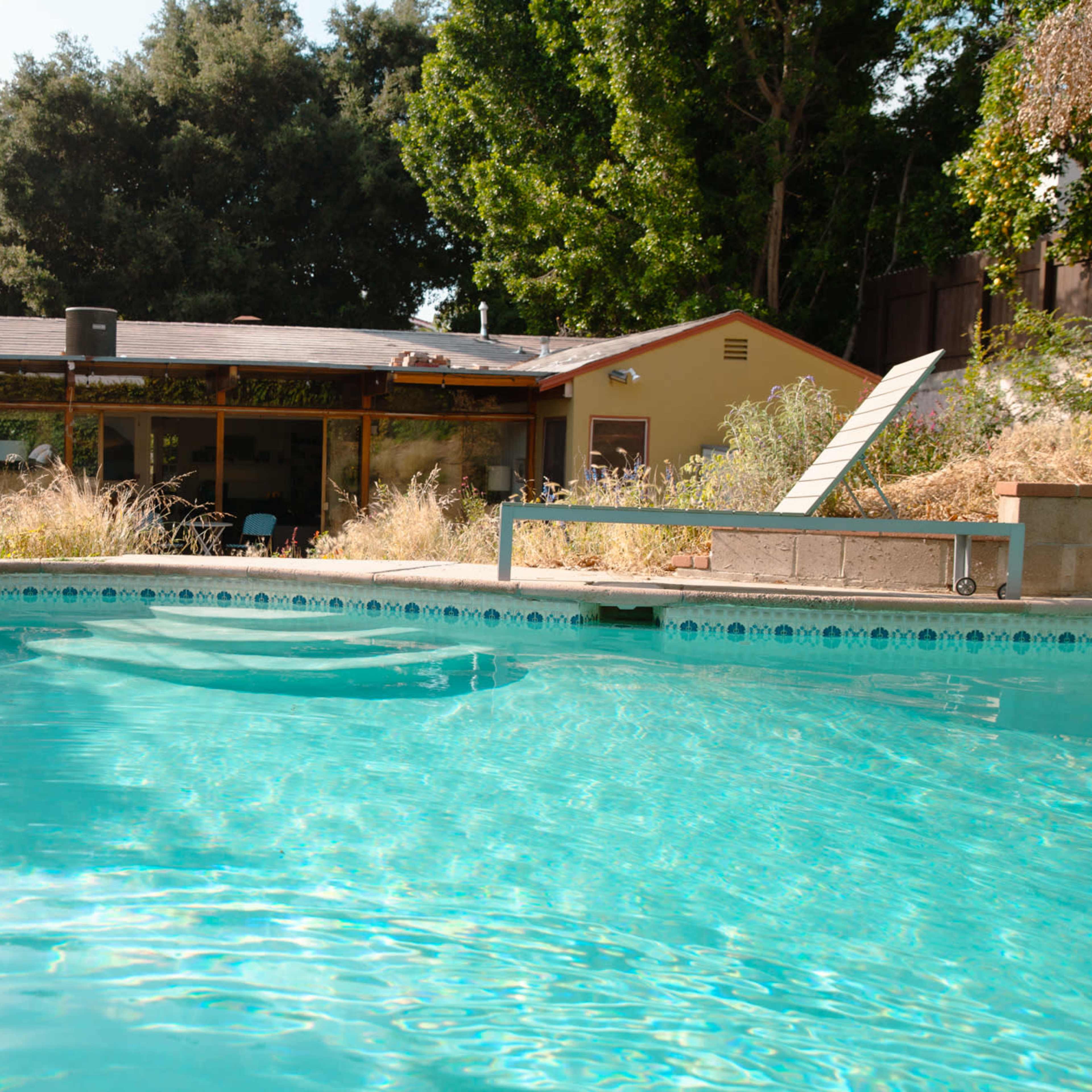 A swimming pool is in the foreground, with a house and overgrown vegetation in the background.