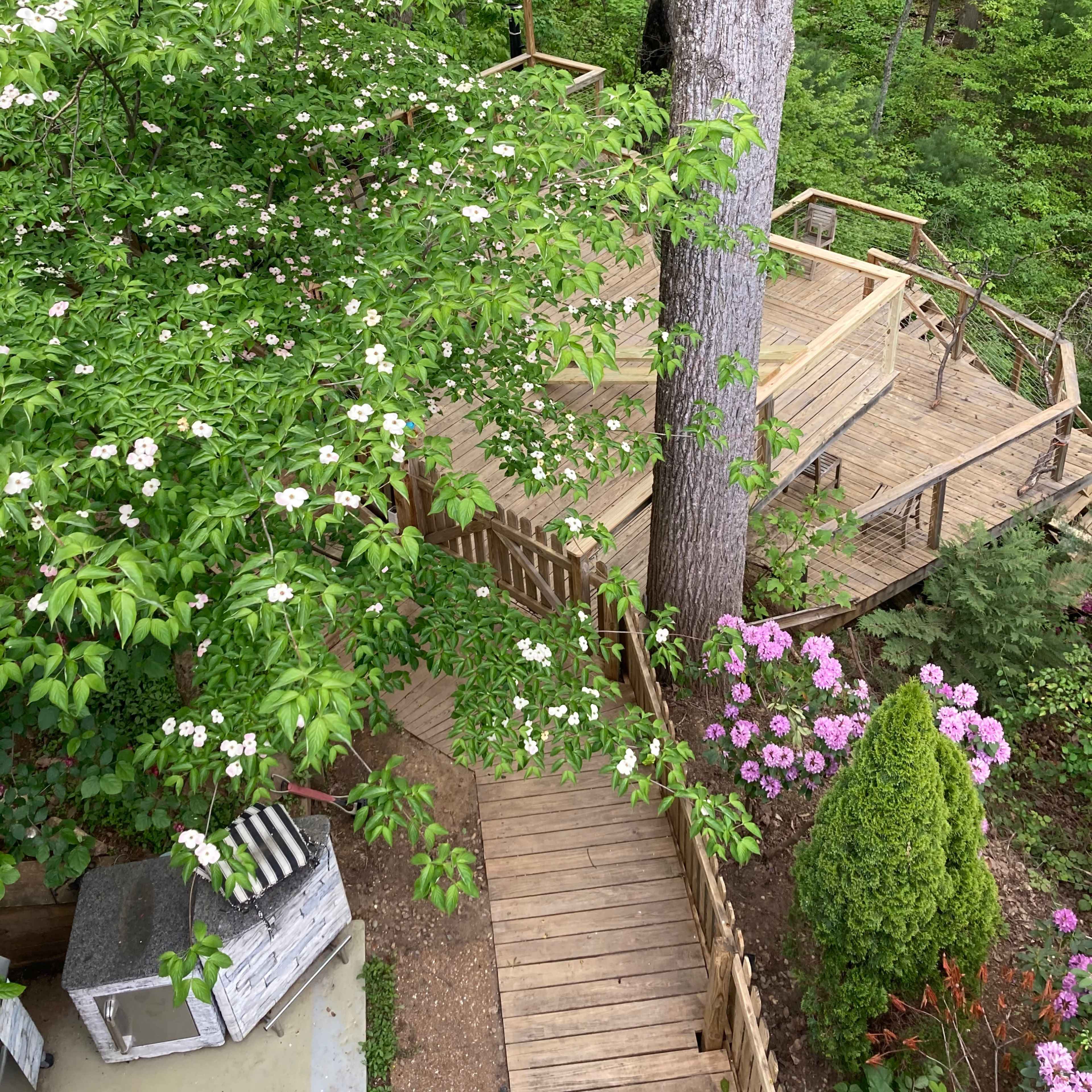 A wooden deck is surrounded by lush greenery and flowering plants, overlooking a shaded forest area.
