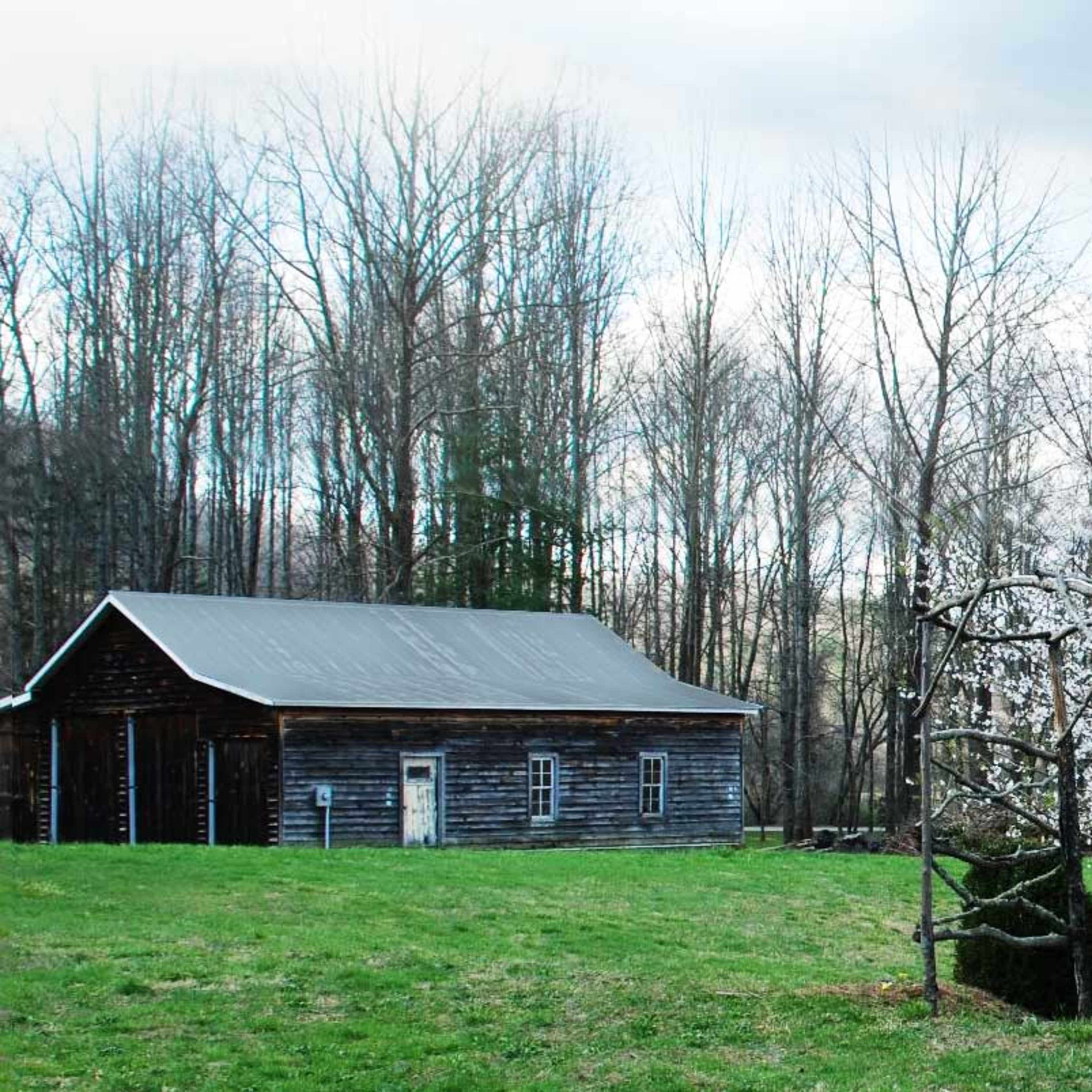 A rustic wooden barn sits beside a pond, with flowering trees in bloom nearby.