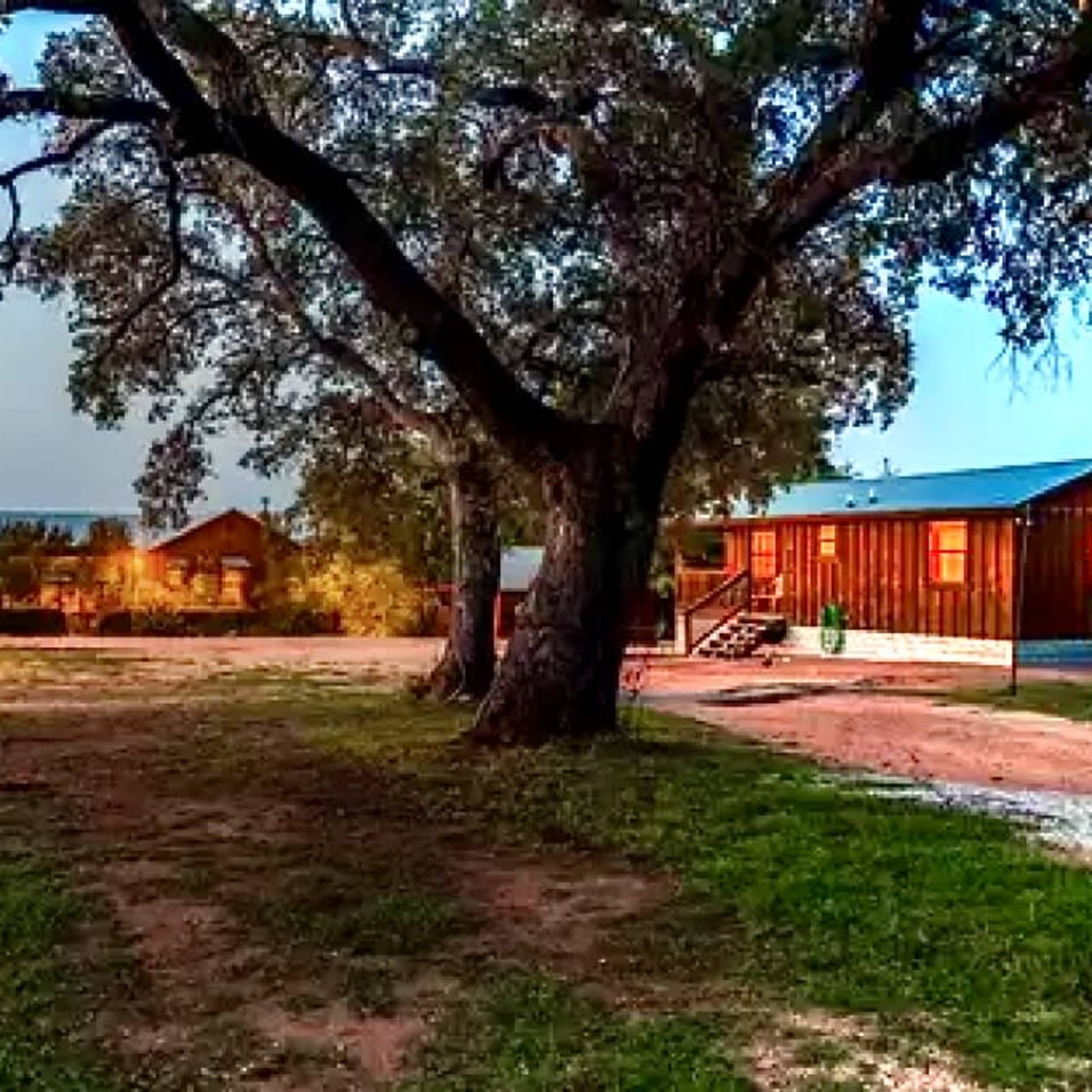 A scene of rustic cabins surrounded by trees and a grassy area, illuminated by soft lights at dusk.