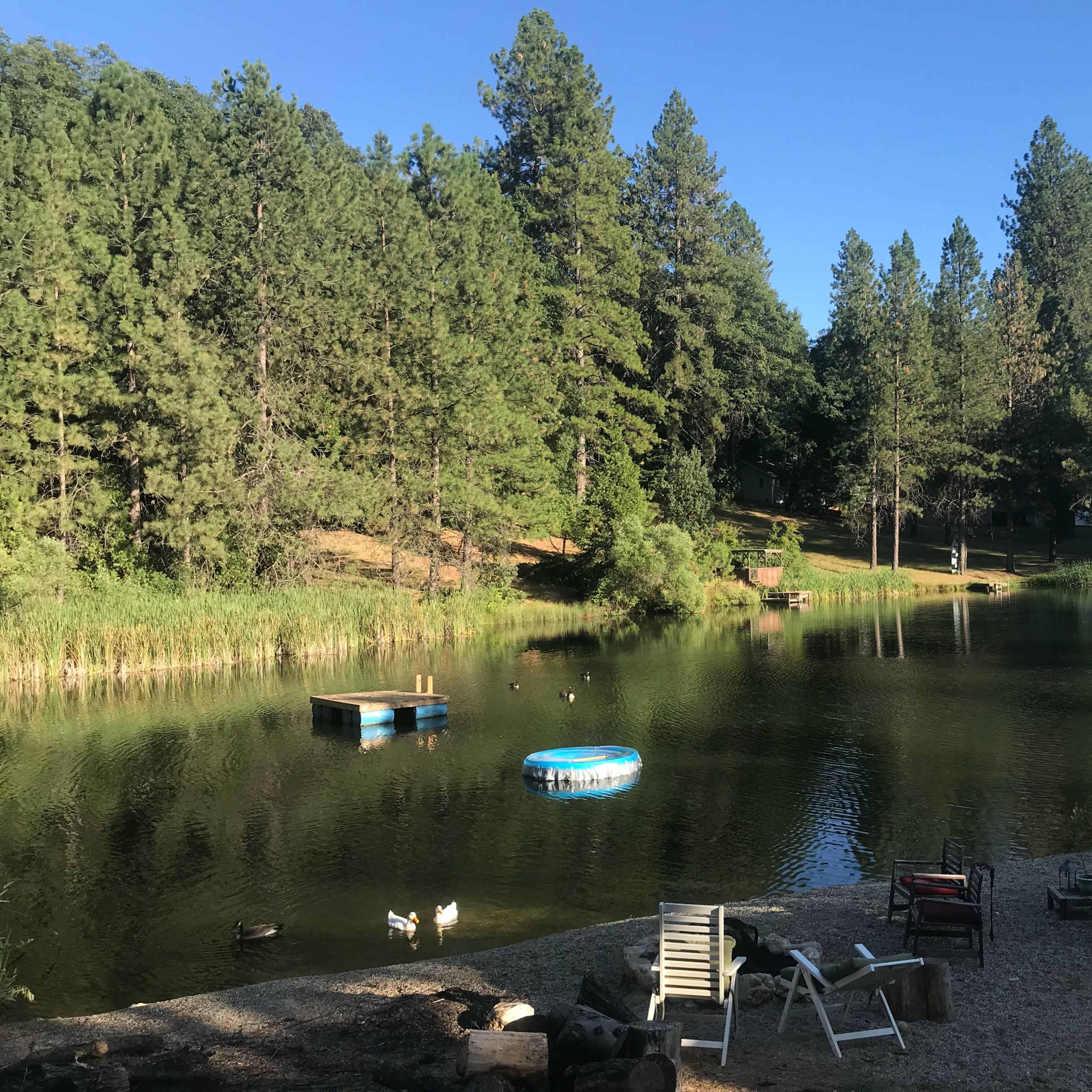 The scene shows a tranquil pond surrounded by dense pine trees, with a few floating platforms and chairs arranged on the shore.