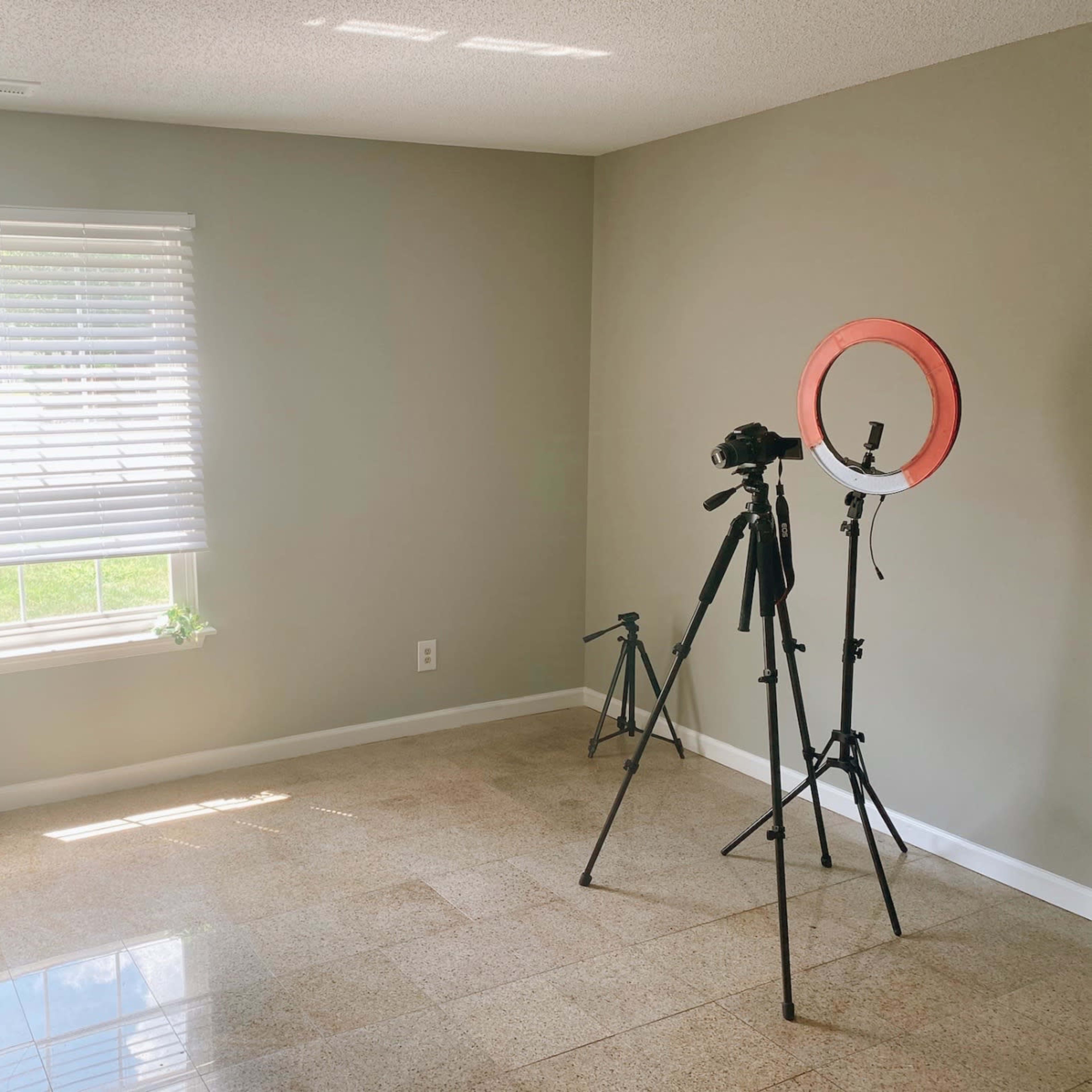 A well-lit room with light-colored walls features a window, a small plant on the sill, and a camera setup with a ring light on tripods.