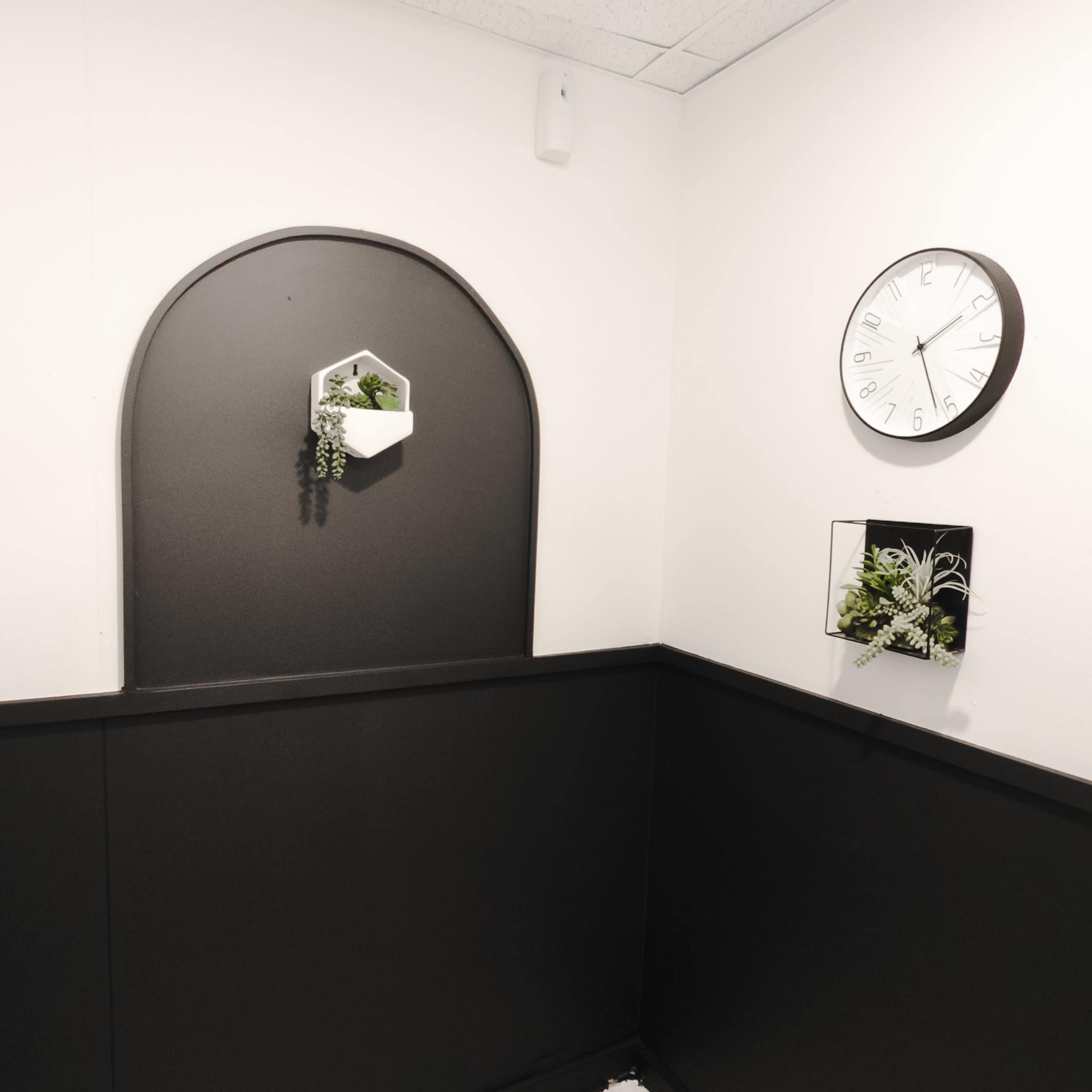 A corner of a room features black wainscoting, a wall clock, and a wall planter with greenery.