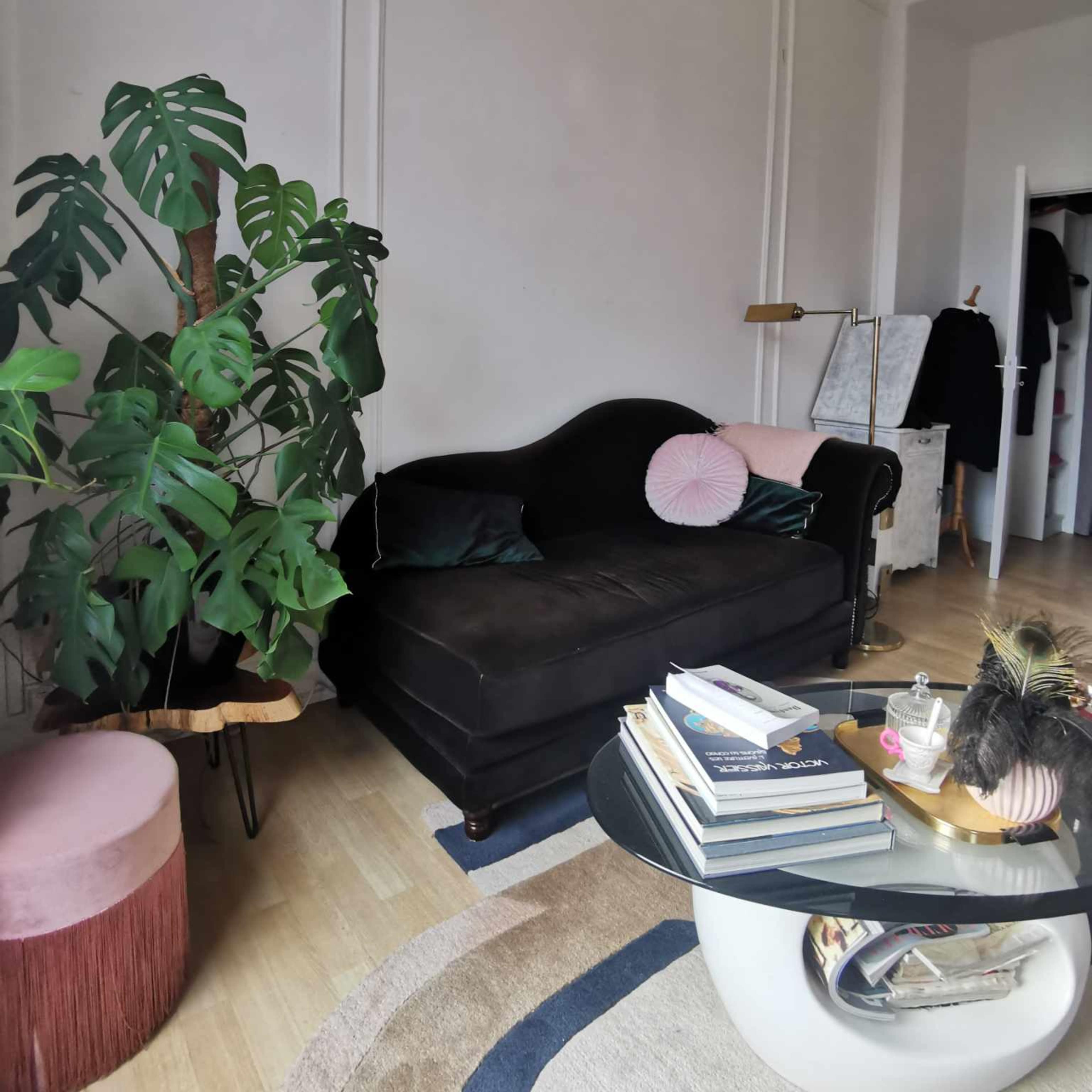 Appartement lumineux intérieur type haussmannien Image dans Roubaix, Roubaix, Hauts-de-France