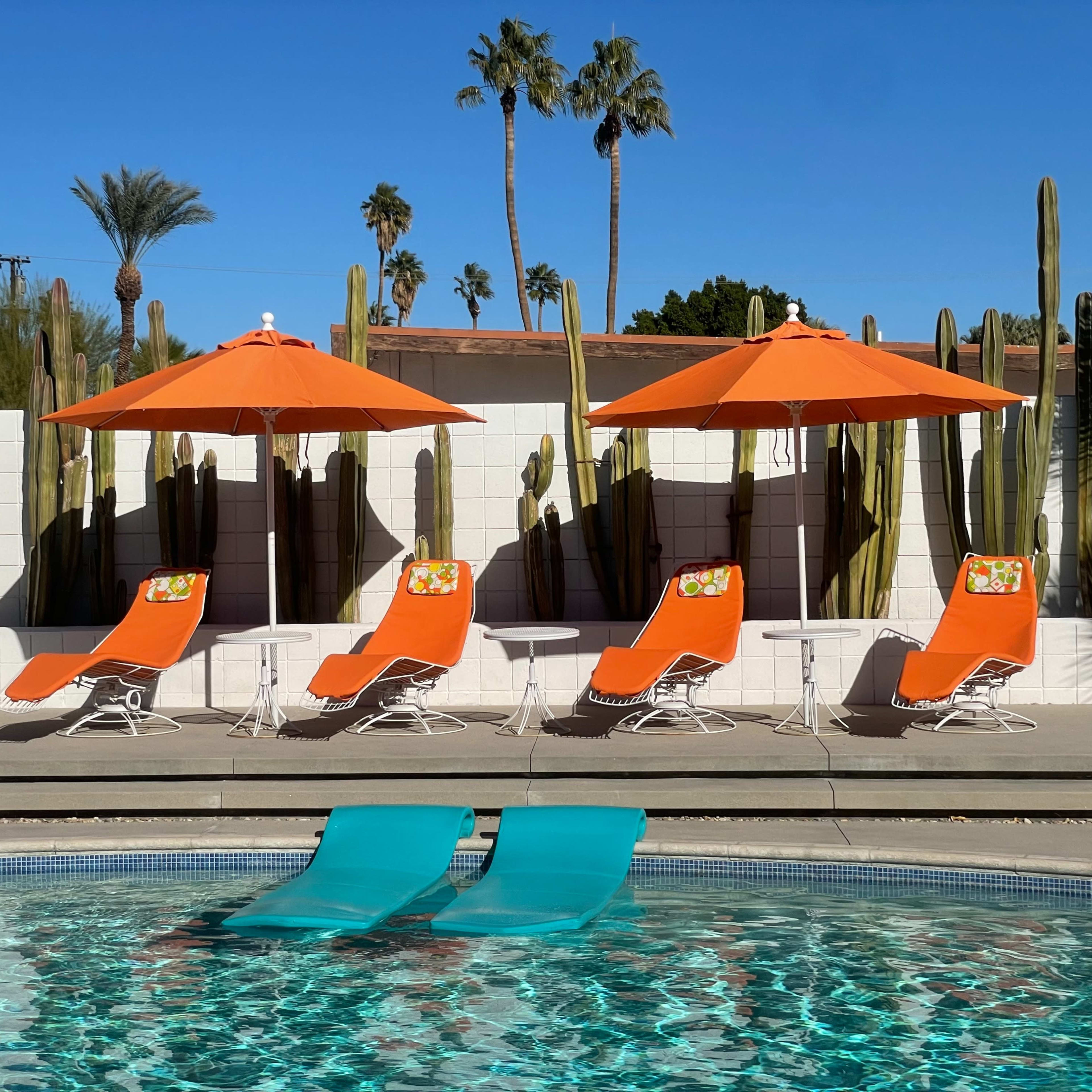 The scene features a swimming pool surrounded by four orange loungers and umbrellas, with tall cacti and palm trees in the background.