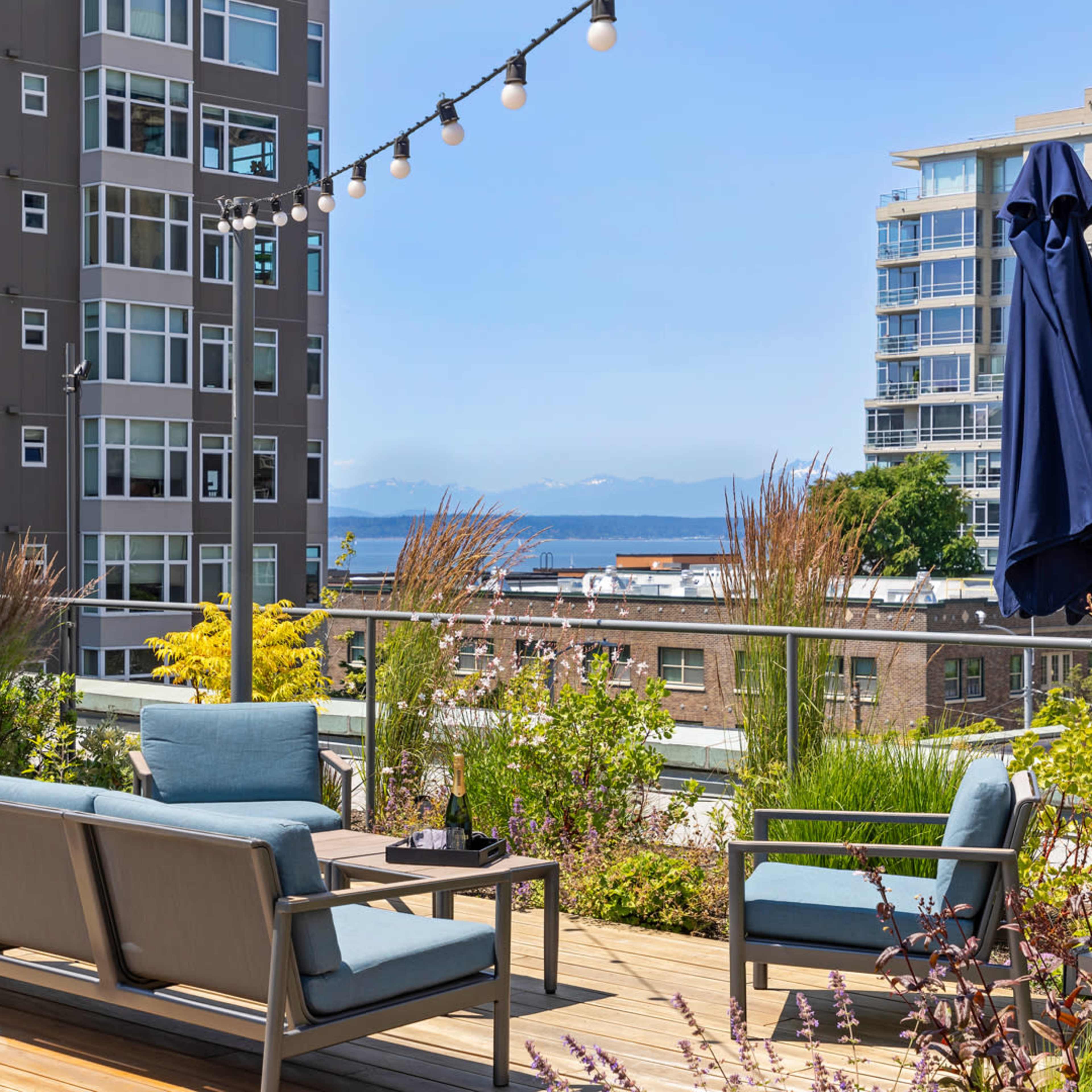A rooftop patio features a seating arrangement with blue cushions, surrounded by lush plants and string lights, overlooking a distant water view and city buildings.