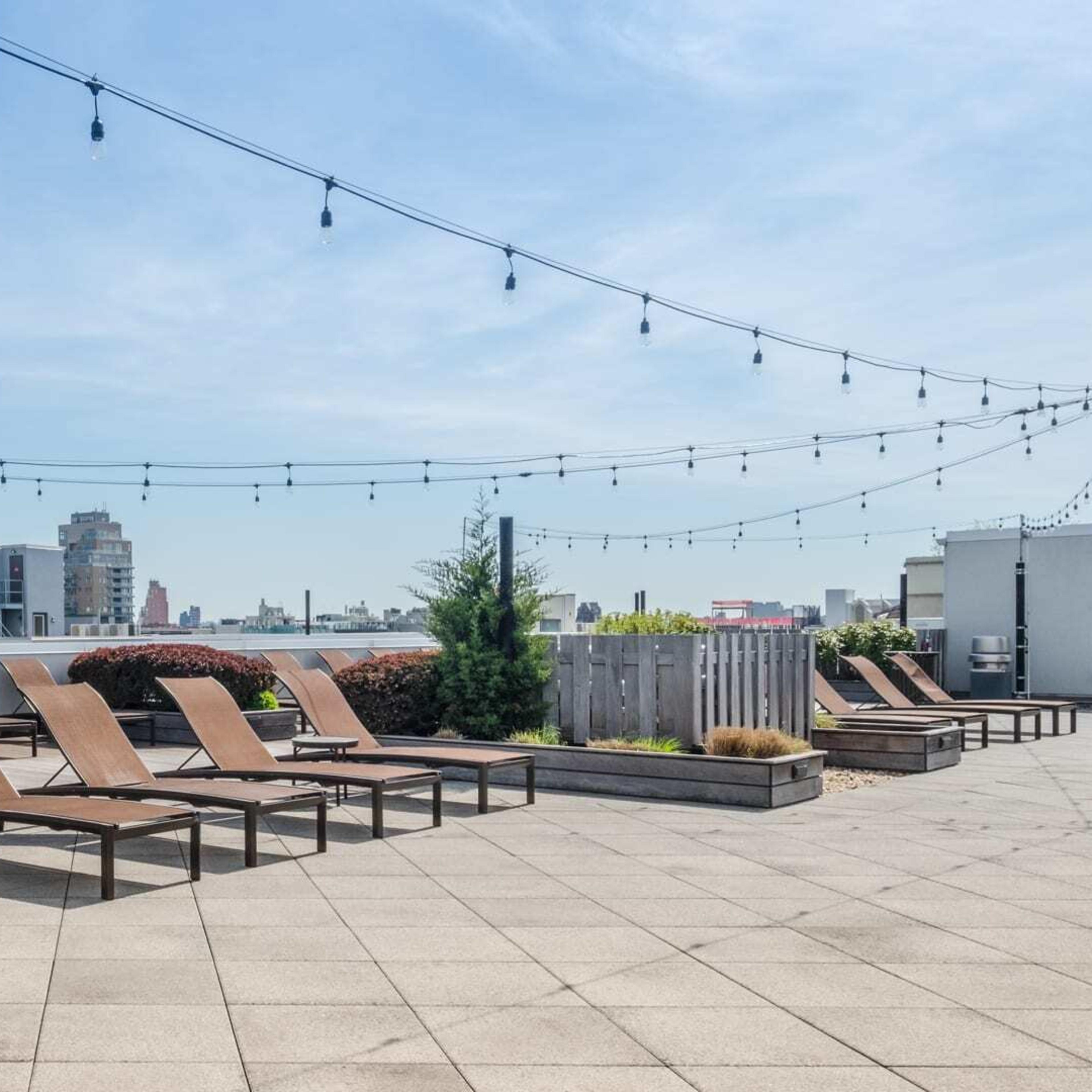 A rooftop deck features several lounge chairs arranged neatly under string lights, with a city skyline visible in the background.