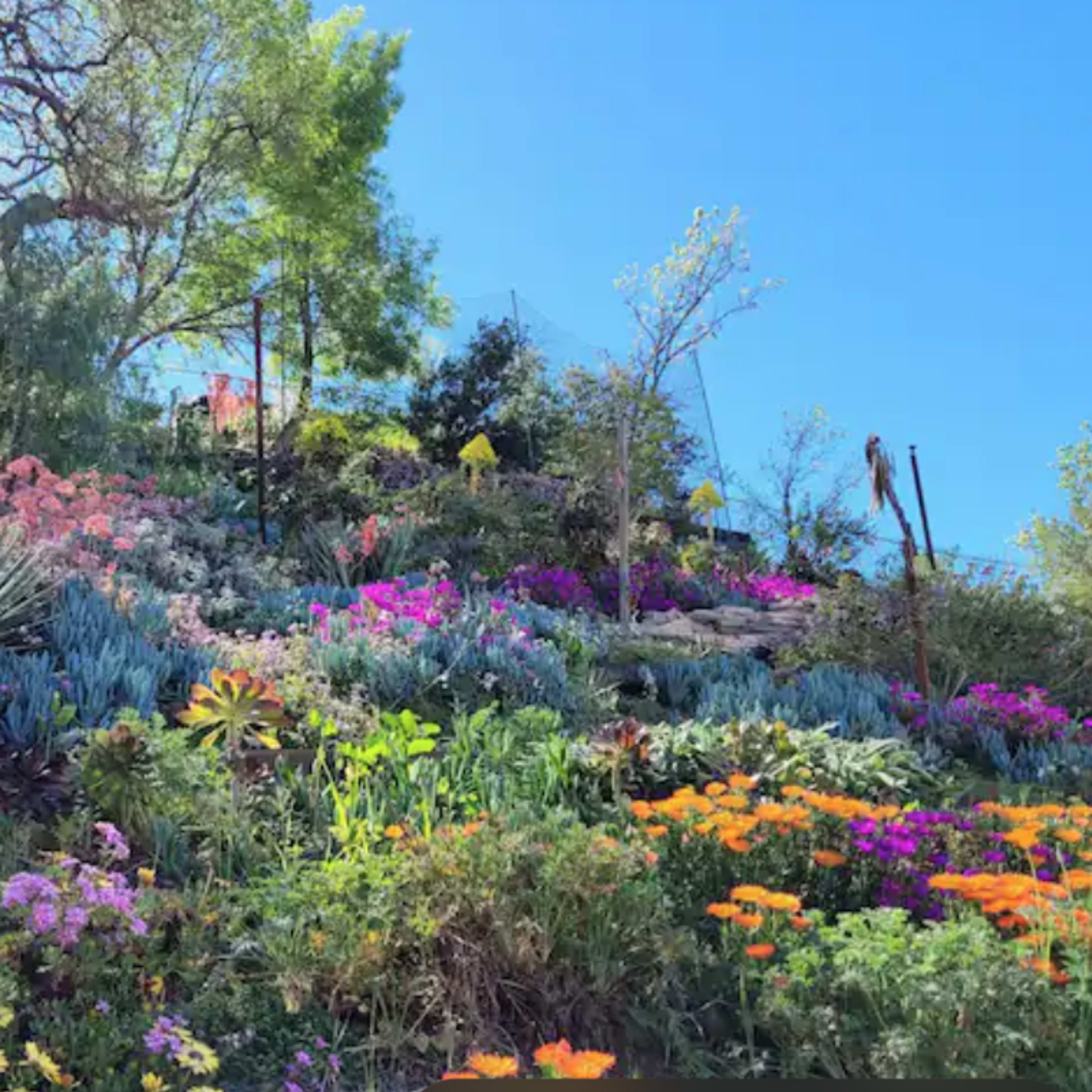 A lush hillside covered with a variety of colorful flowers and plants under a clear blue sky.