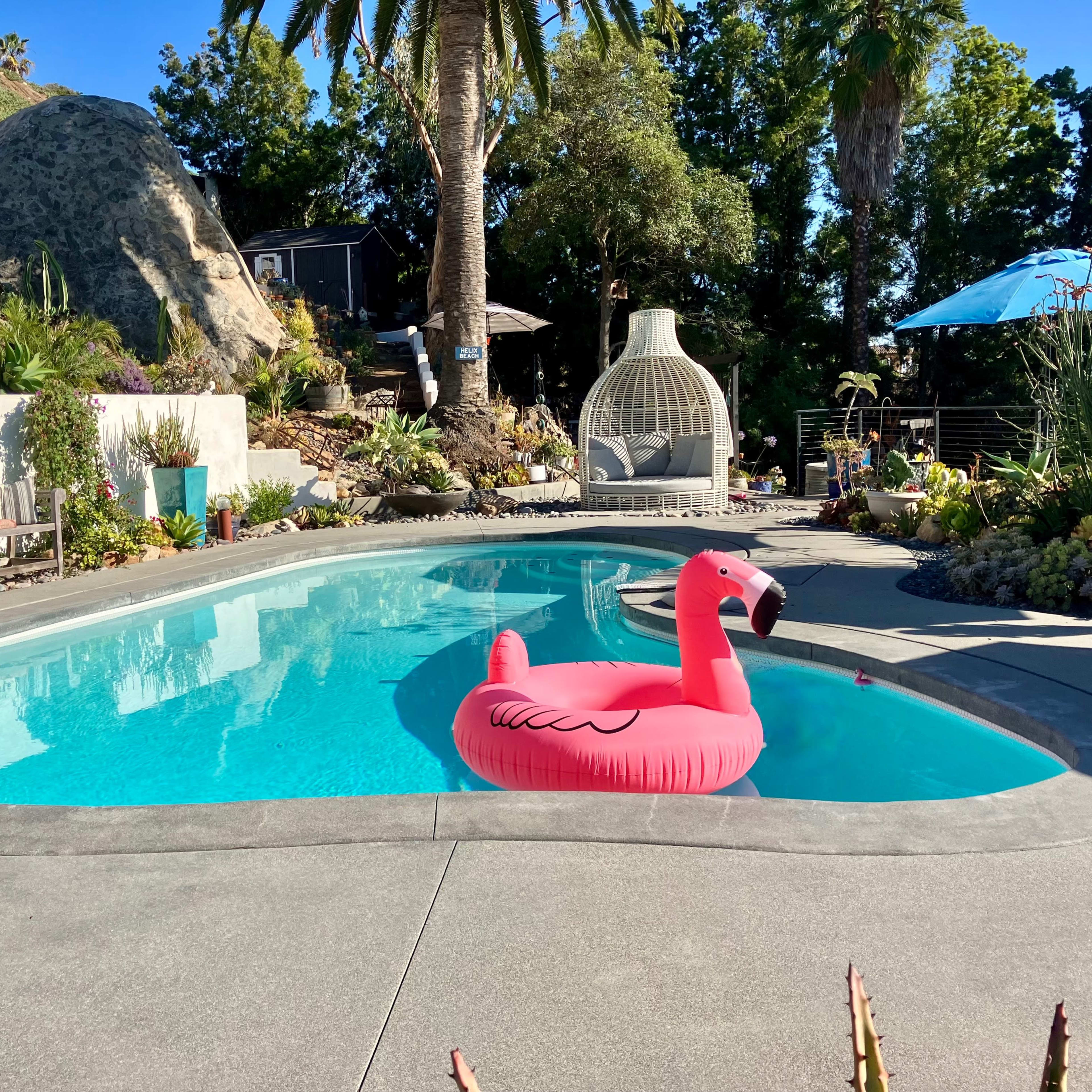 A pink flamingo float is positioned in a swimming pool surrounded by lush landscaping and outdoor furniture.