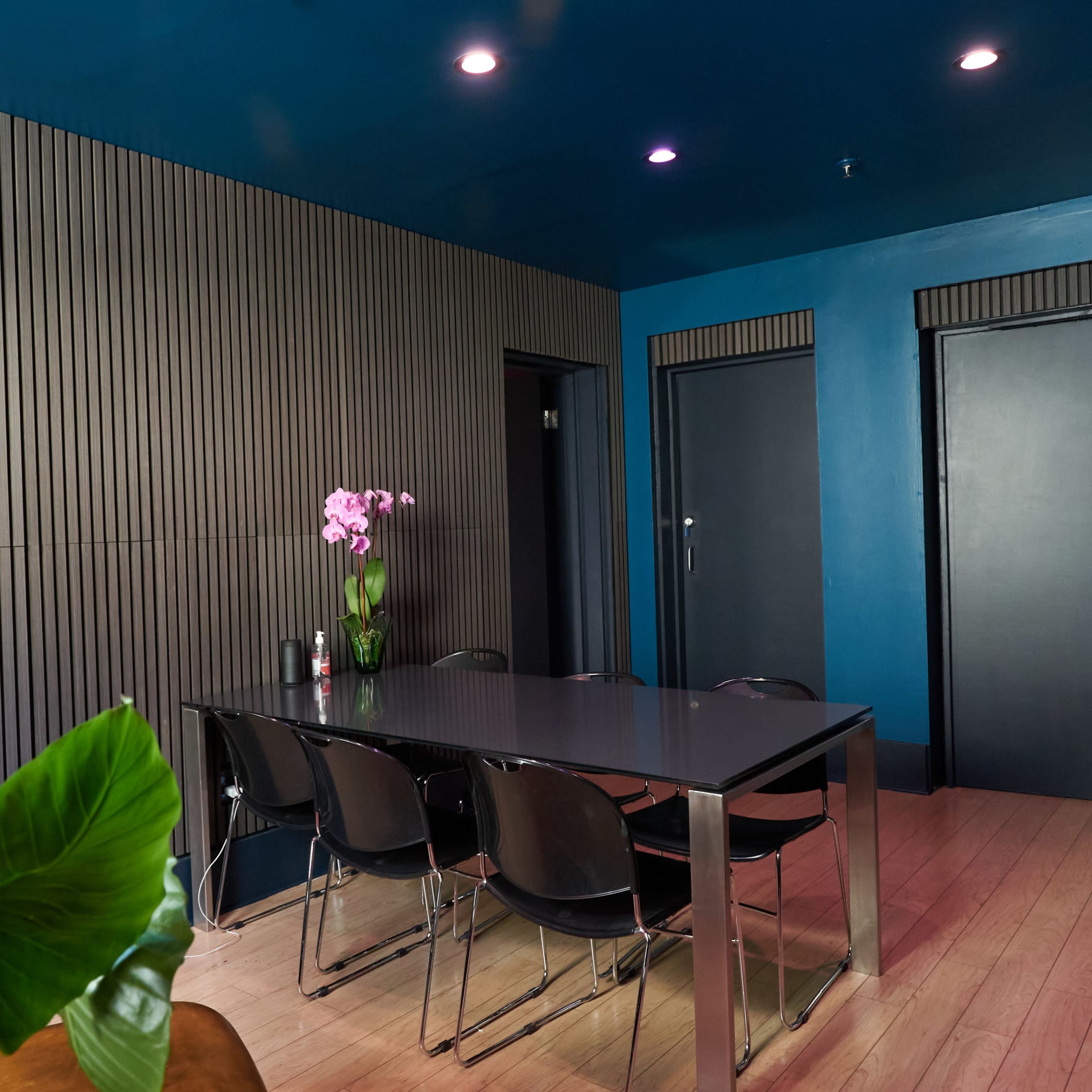 A modern meeting room with a dark wooden table surrounded by black chairs and a large plant in the foreground.