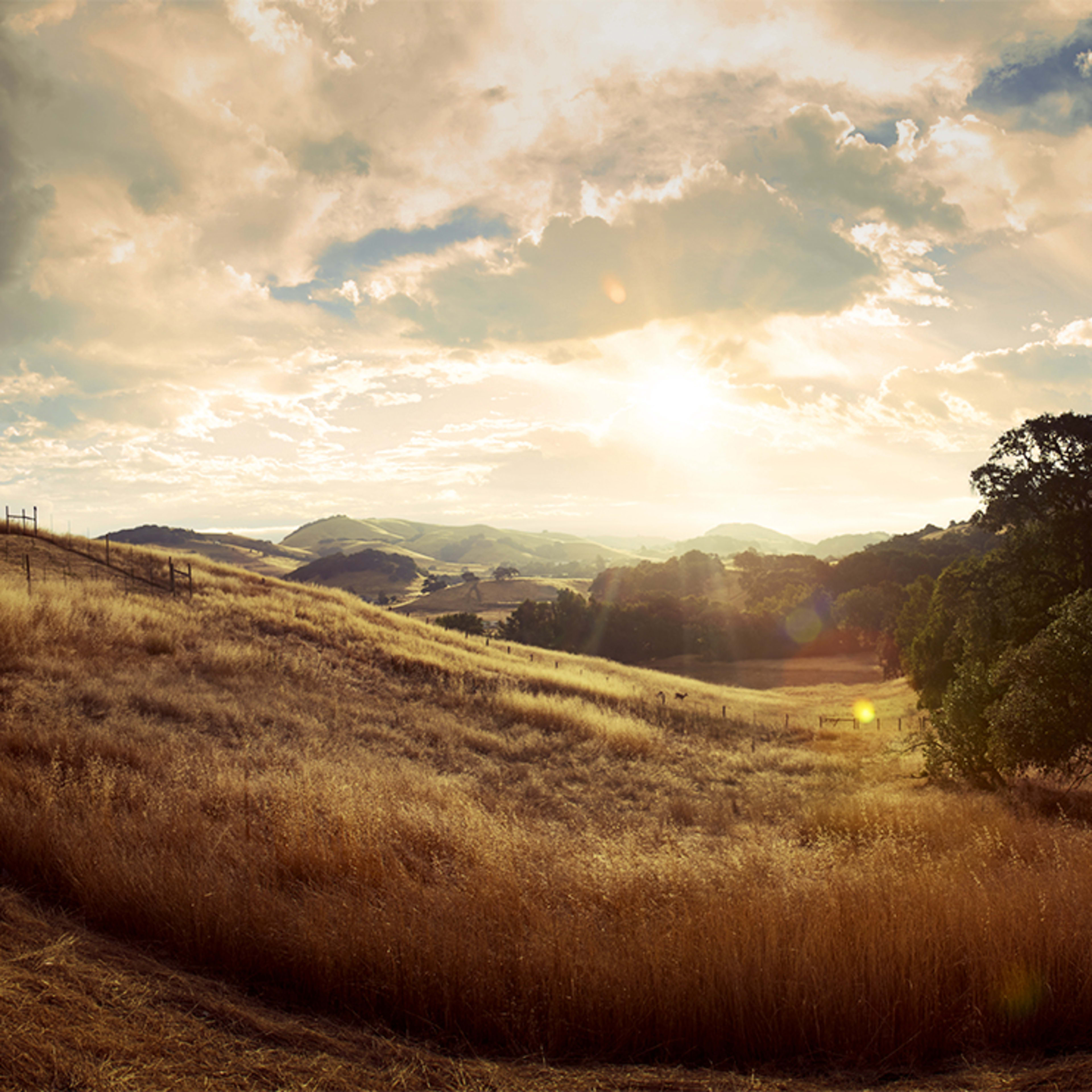 A panoramic view of a golden grassland under a cloudy sky with the sun setting behind distant hills.