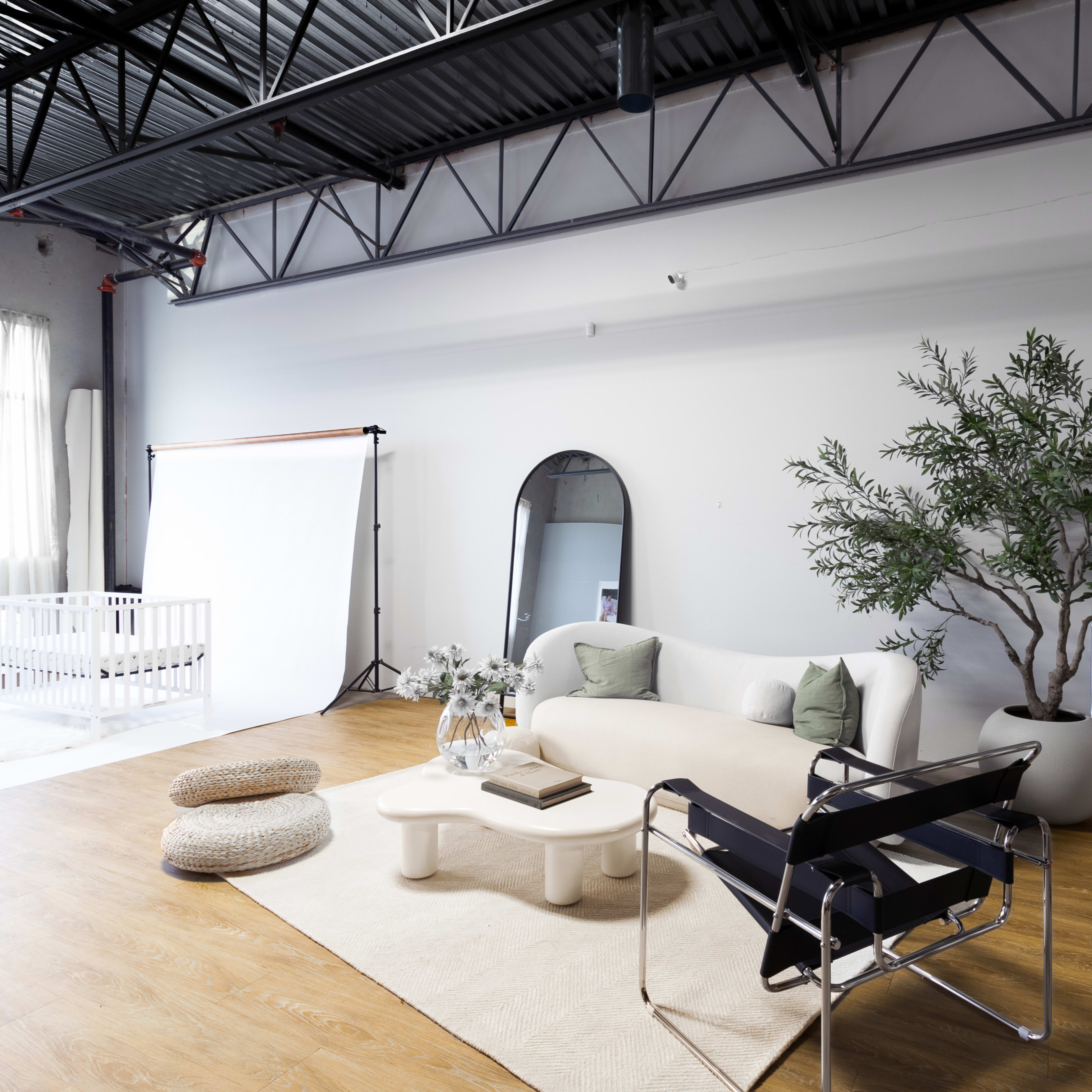 The room features a modern, minimalistic seating area with a white sofa, a black chair, and a large plant, complemented by a light wood floor and natural light highlights.