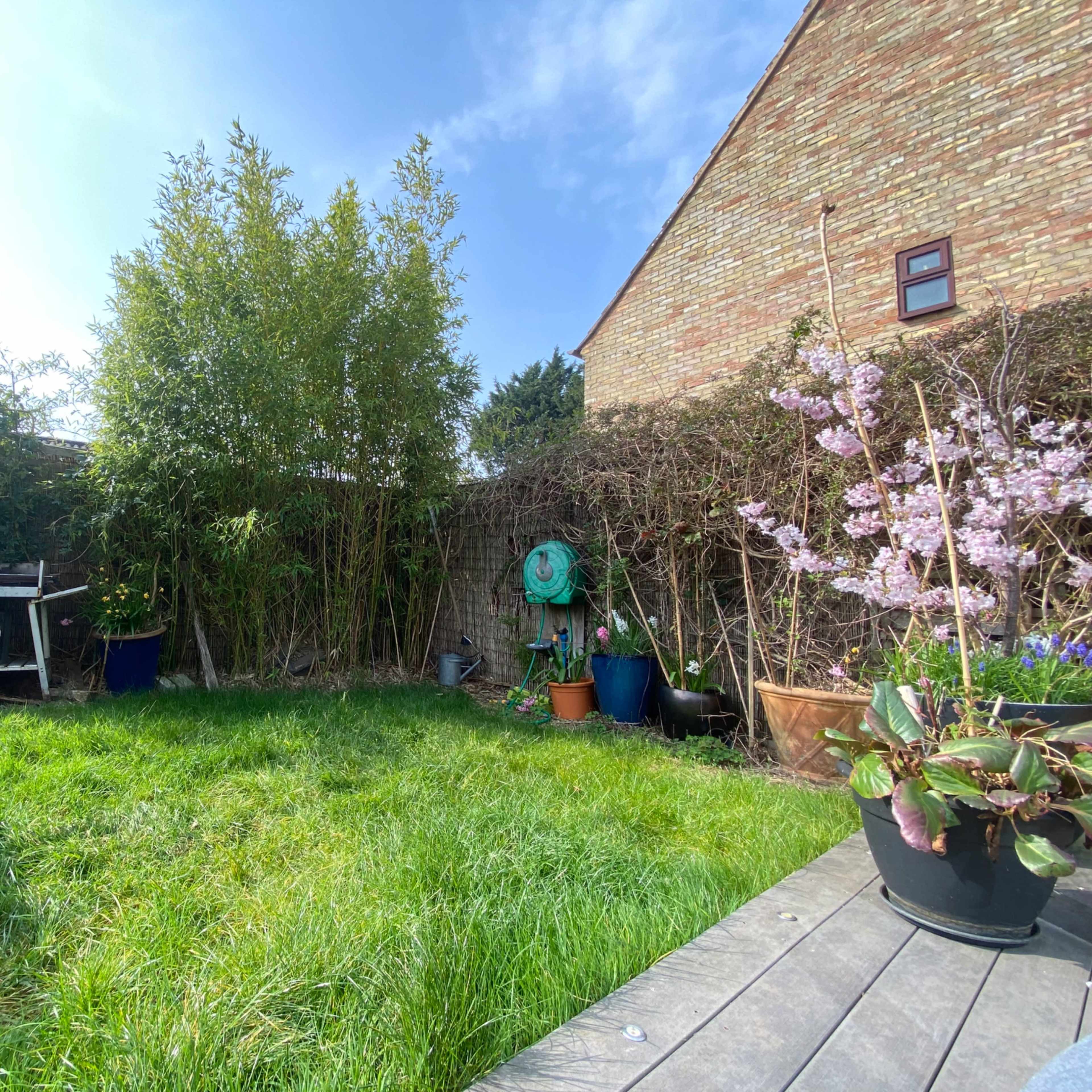 A garden with green grass, various plants in pots, and a wooden deck, alongside a brick wall and a sunny sky.
