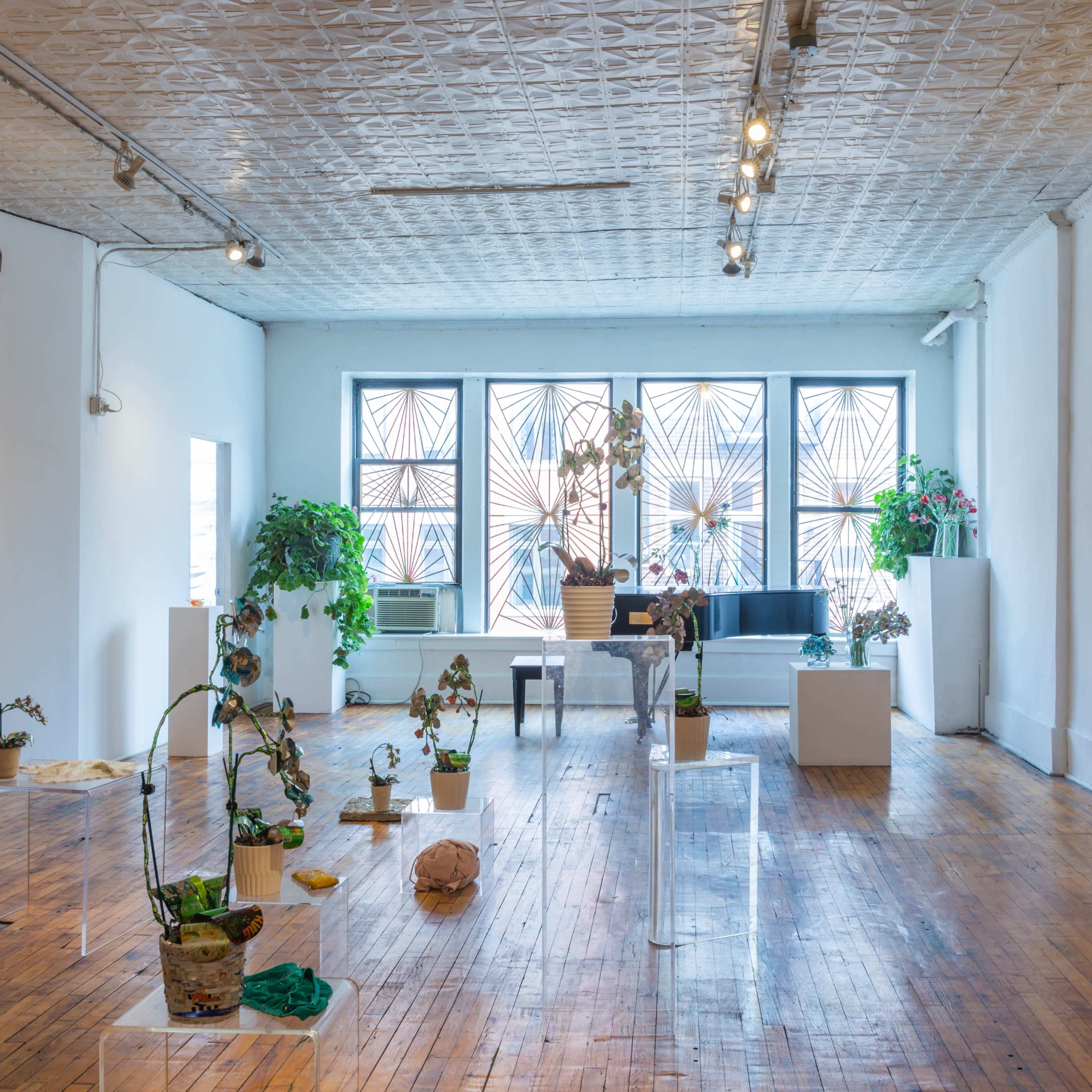 An art gallery with a wooden floor, featuring various plants, sculptures, and paintings displayed in a brightly lit space with large windows.