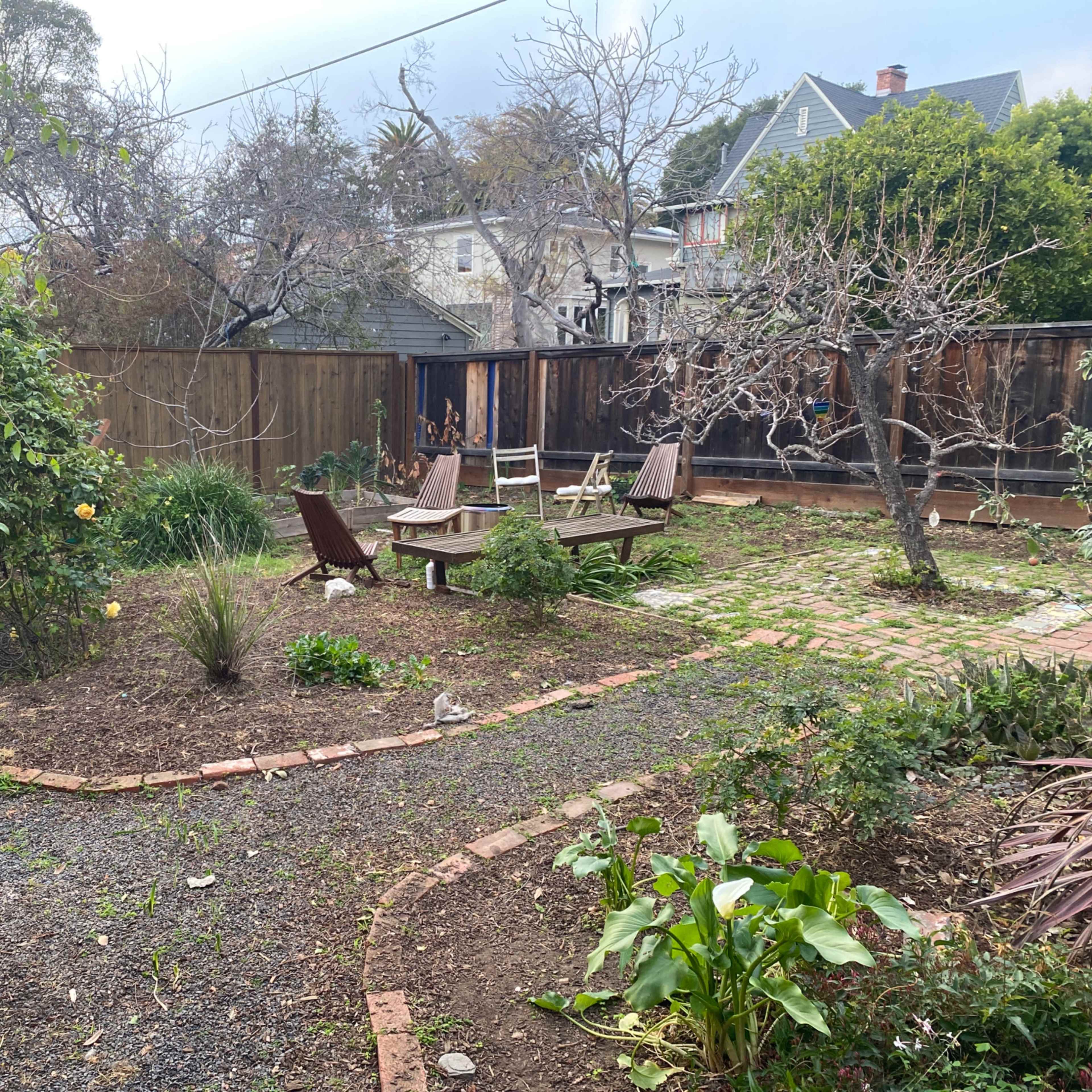 A garden with winding pathways, seating areas, and various plants, surrounded by wooden fencing and a few bare trees.