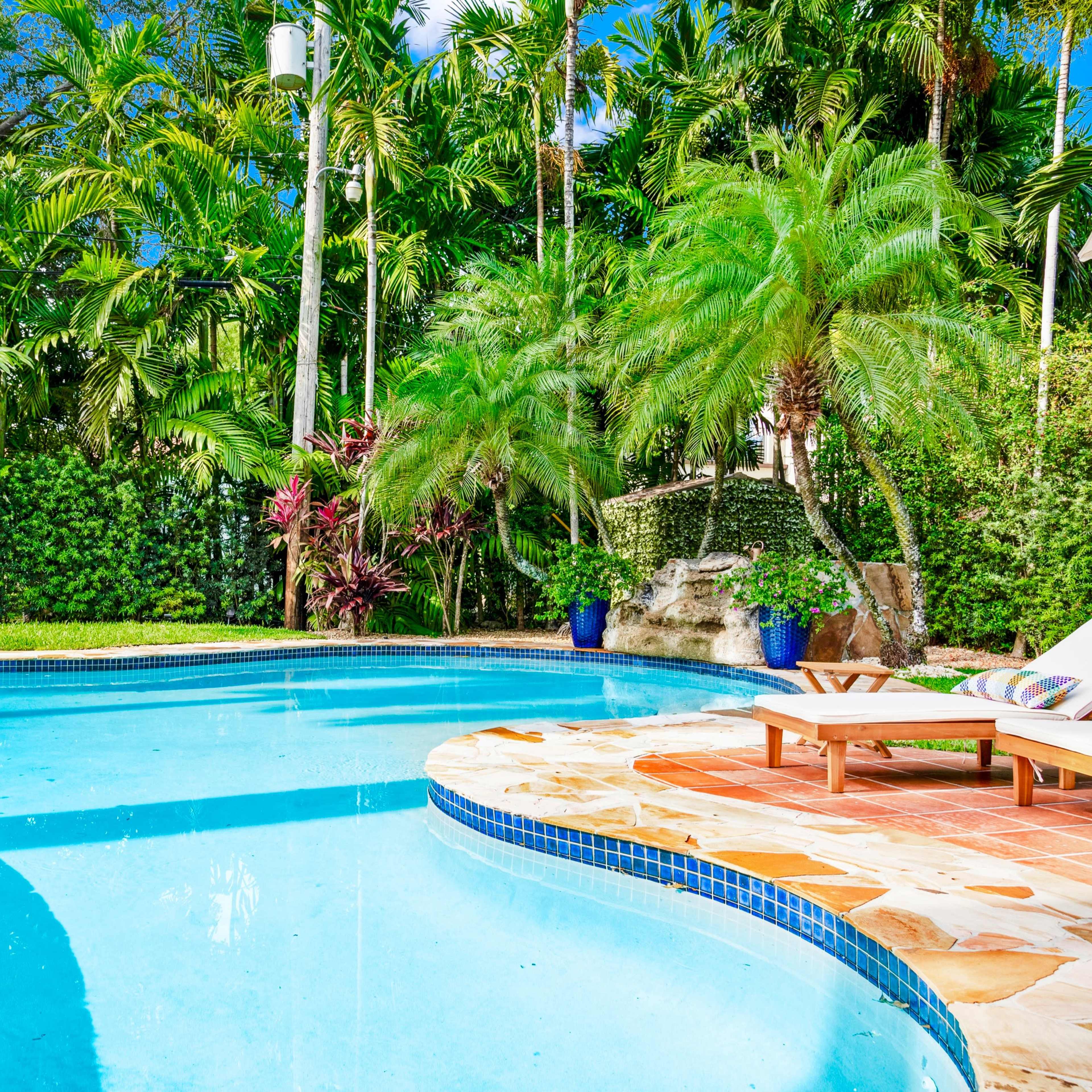 A swimming pool set in a lush tropical garden with lounge chairs beside it.