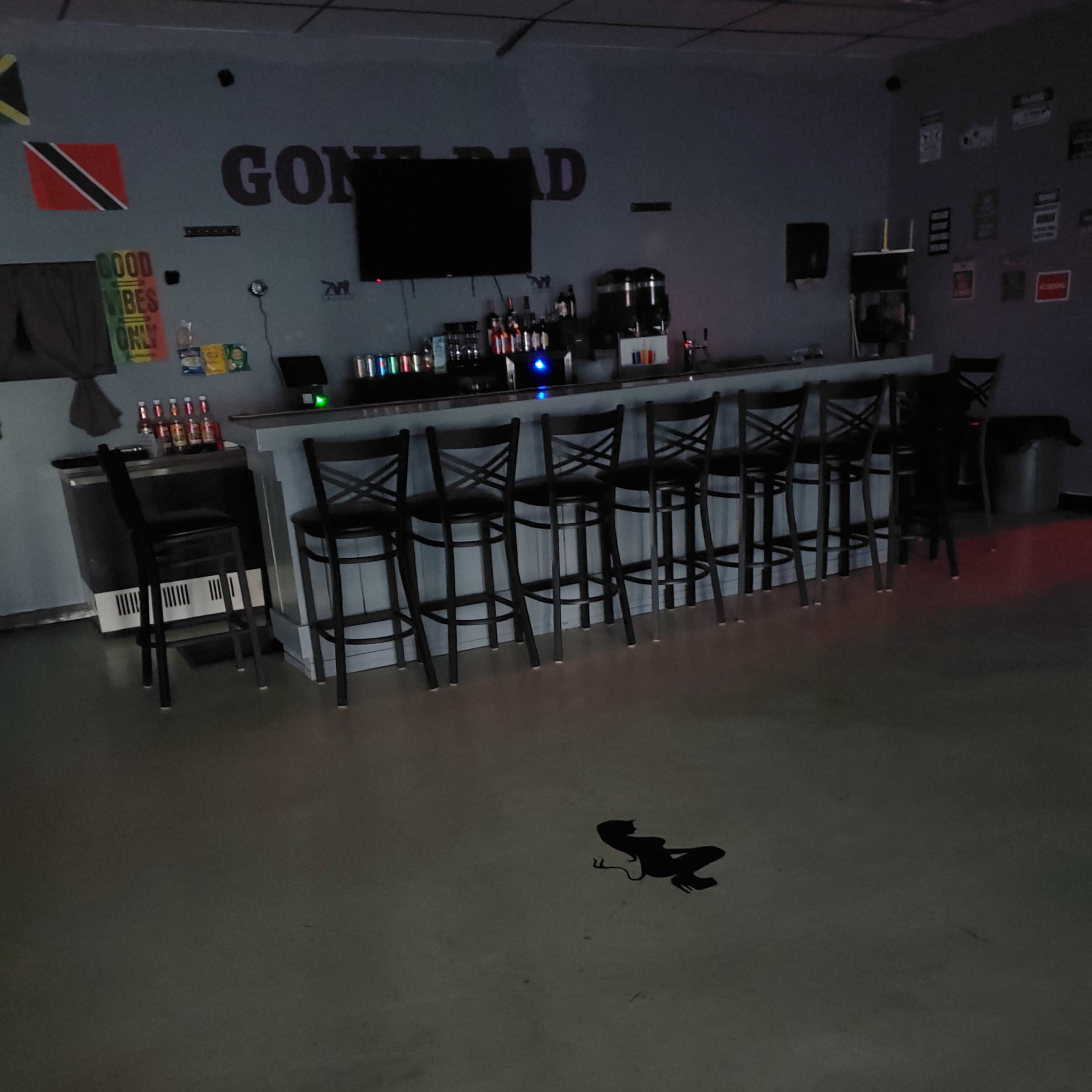 A dimly lit bar area features a long counter with several stools, a television mounted on the wall, and a small insect on the floor.