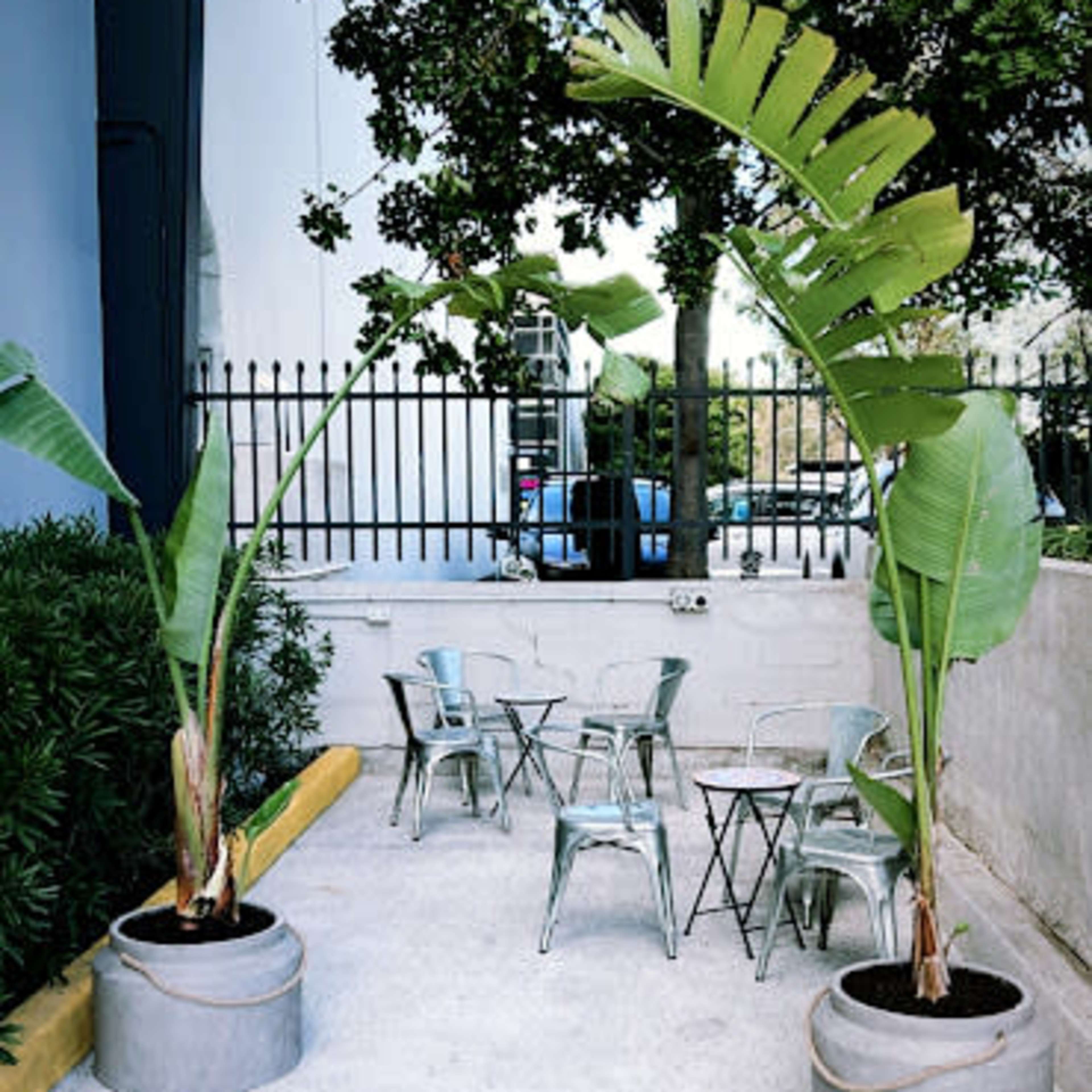 A small outdoor seating area with two large potted plants and several metal chairs and tables against a concrete wall.