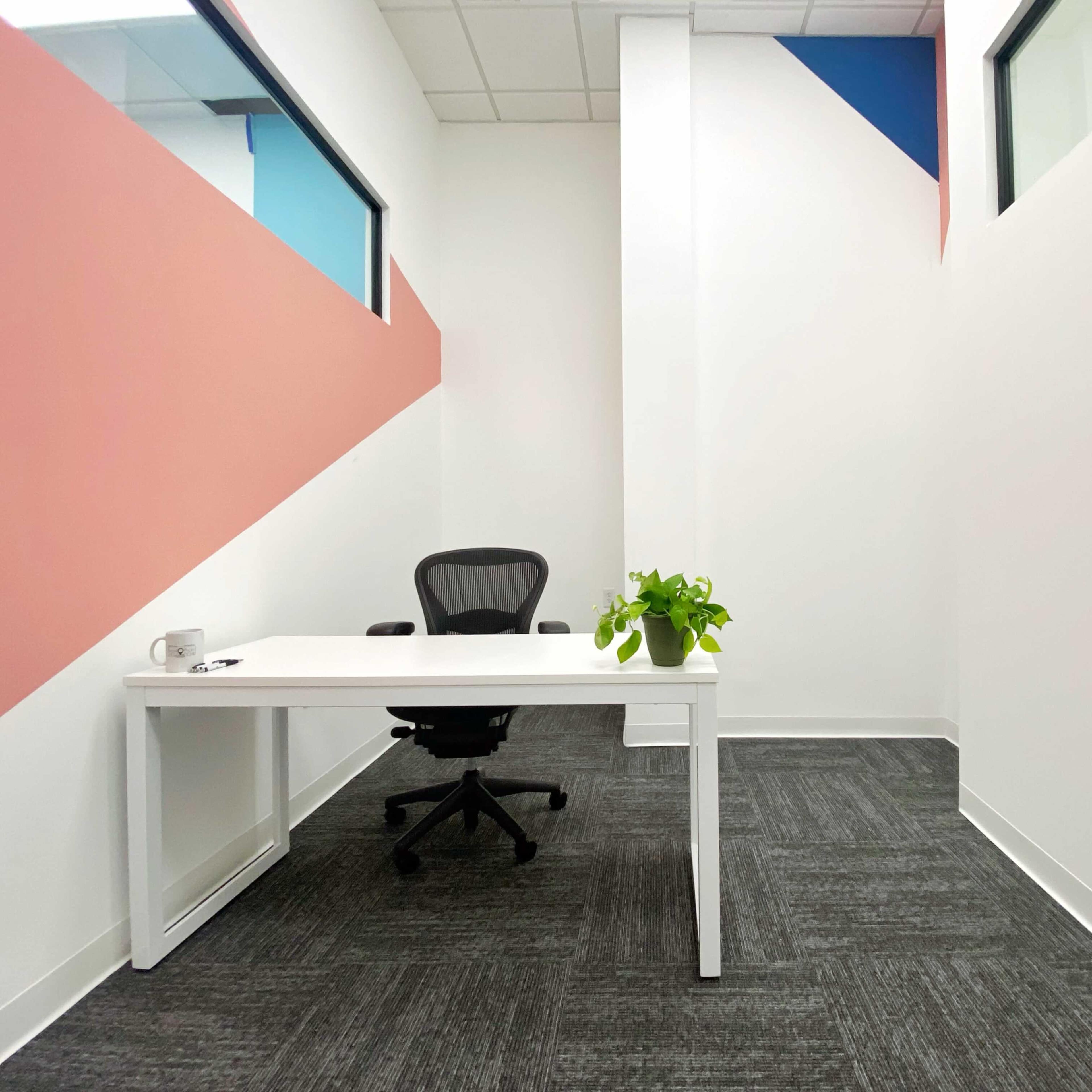 A minimalistic office space features a white desk and a black chair, with a small plant on the desk and colorful walls.