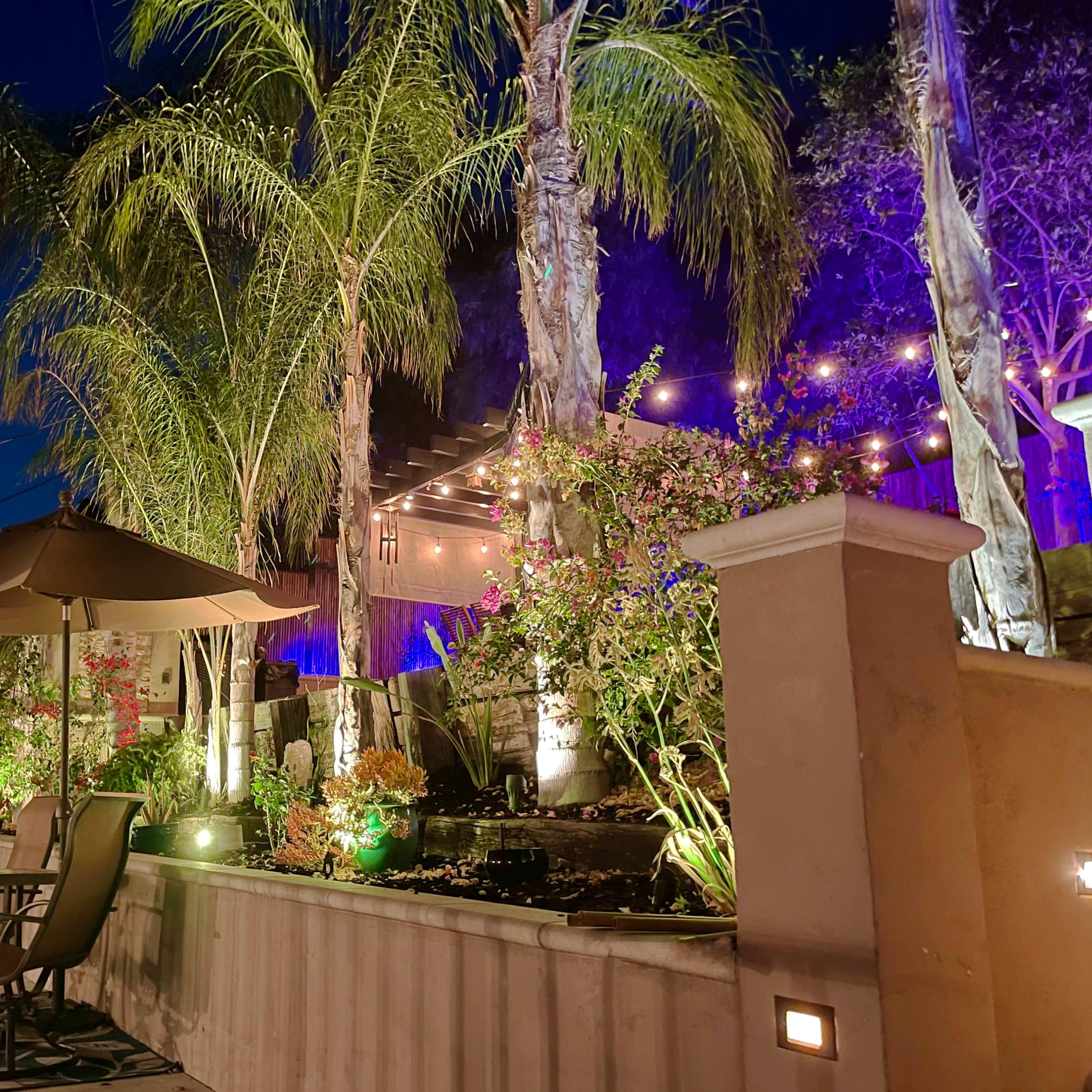 A landscaped backyard with palm trees, string lights, and a seating area illuminated by colorful lights at night.