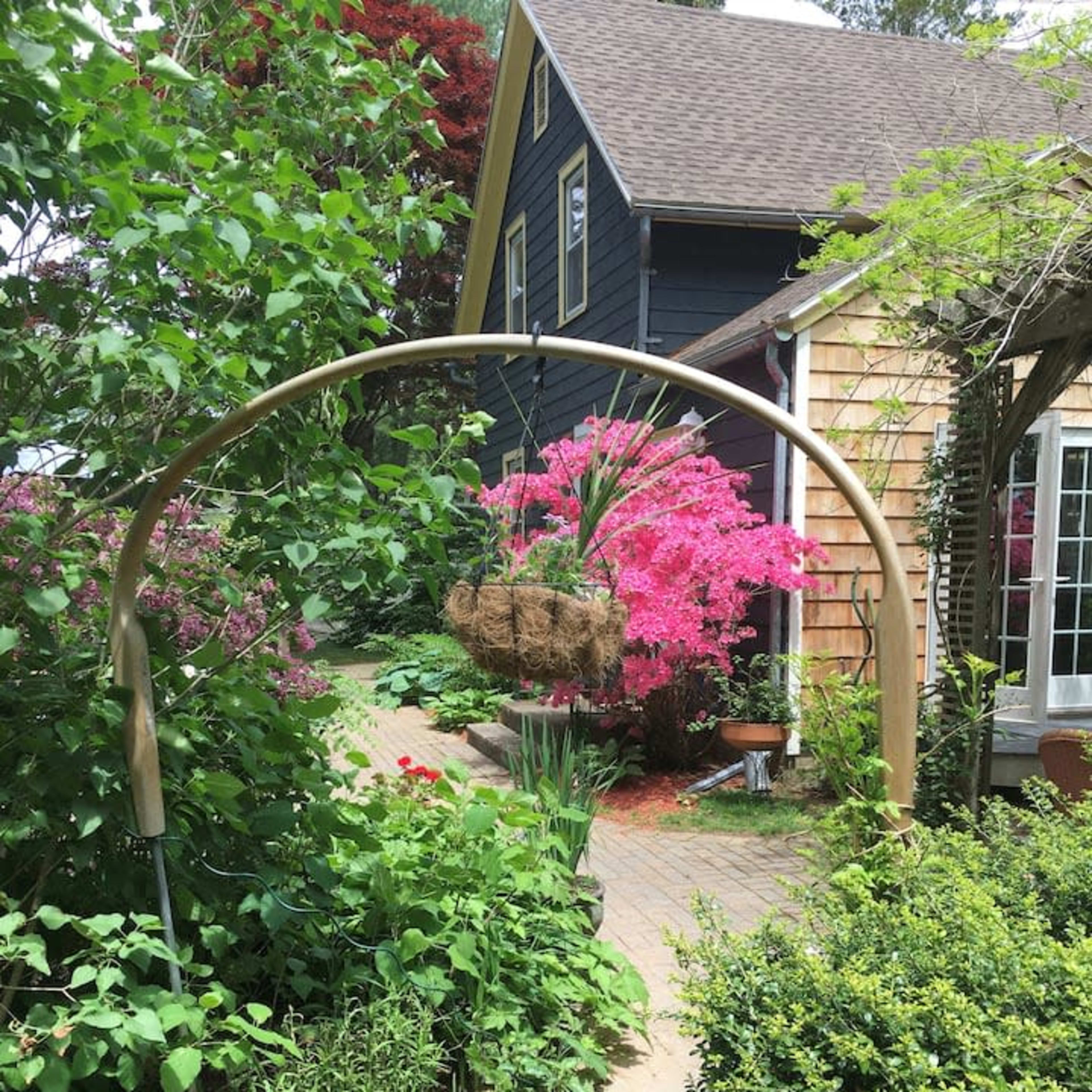 A curved wooden arch stands in a garden, adorned with hanging plants and surrounded by vibrant greenery and flowering shrubs.
