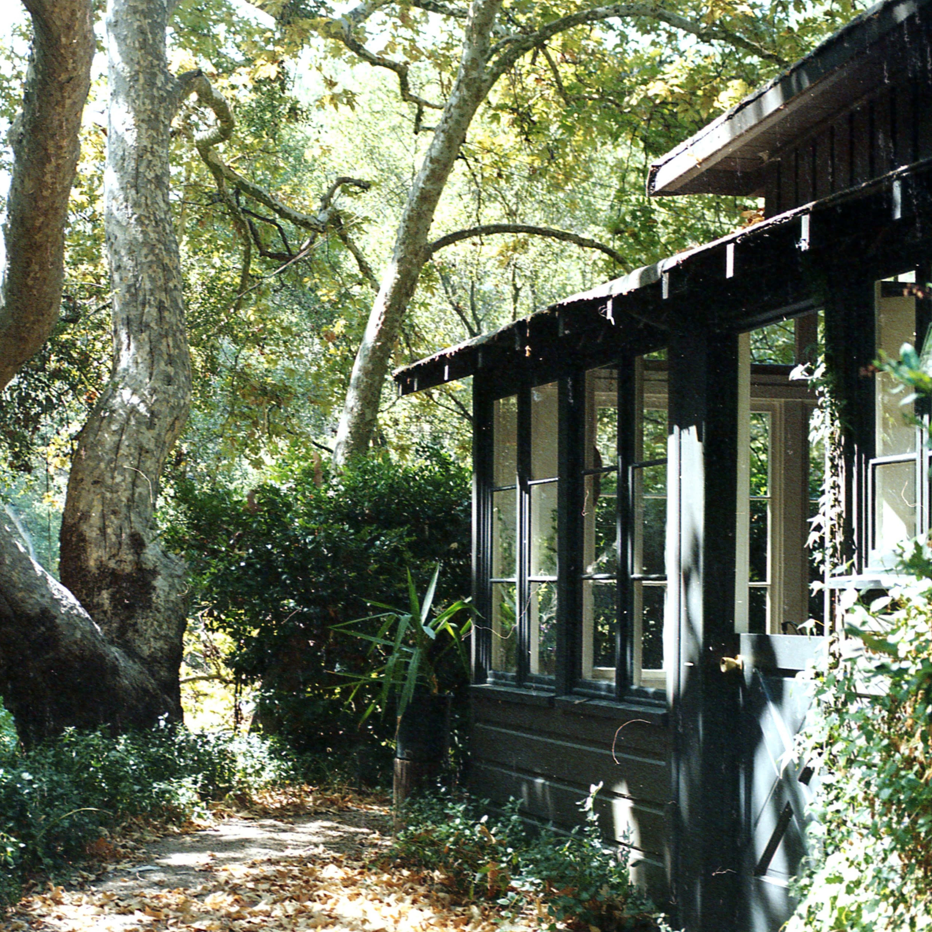 A path lined with foliage leads to a house with large windows, situated next to a tree with sprawling branches.