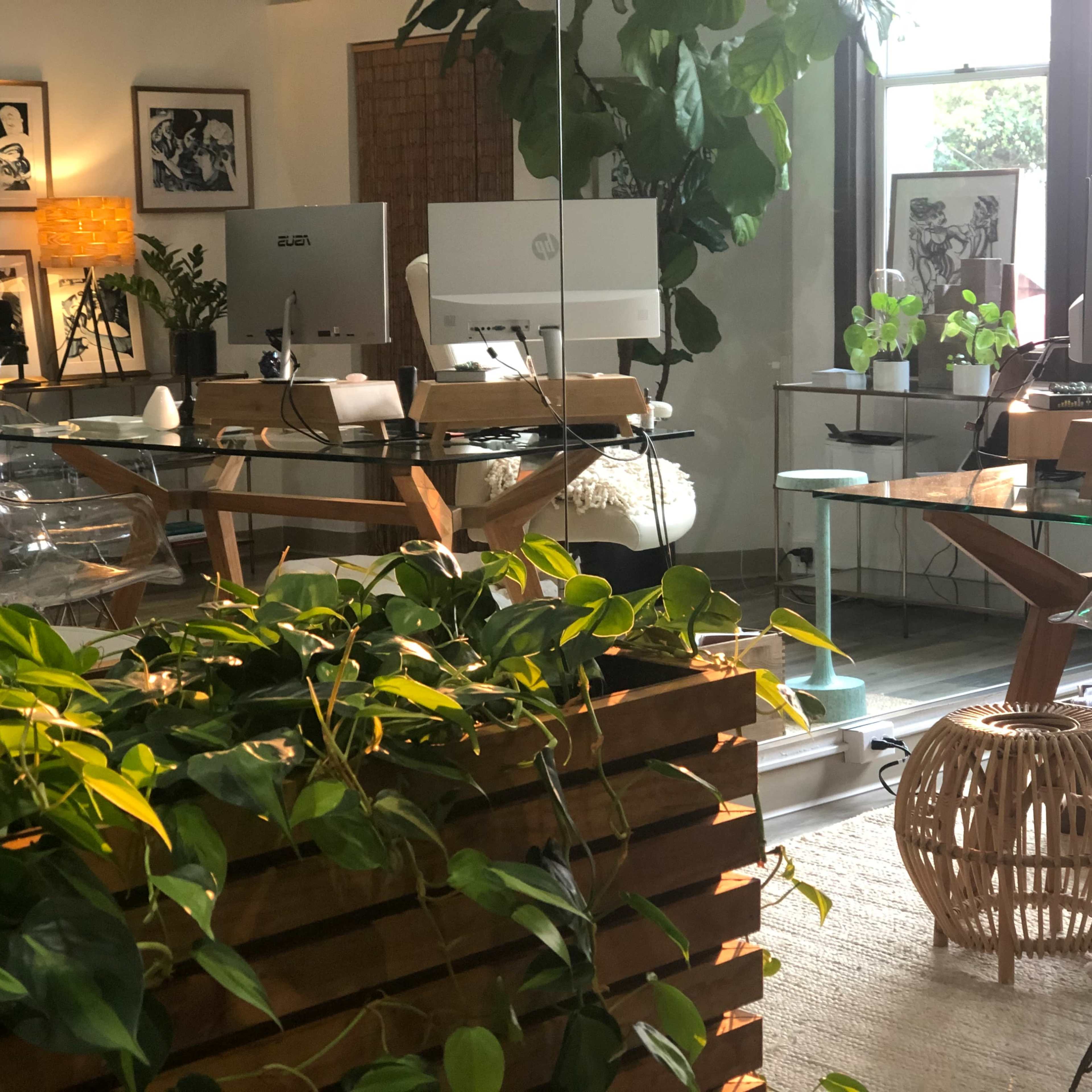A modern, minimalist office space featuring clear desks, computer monitors, and various indoor plants.