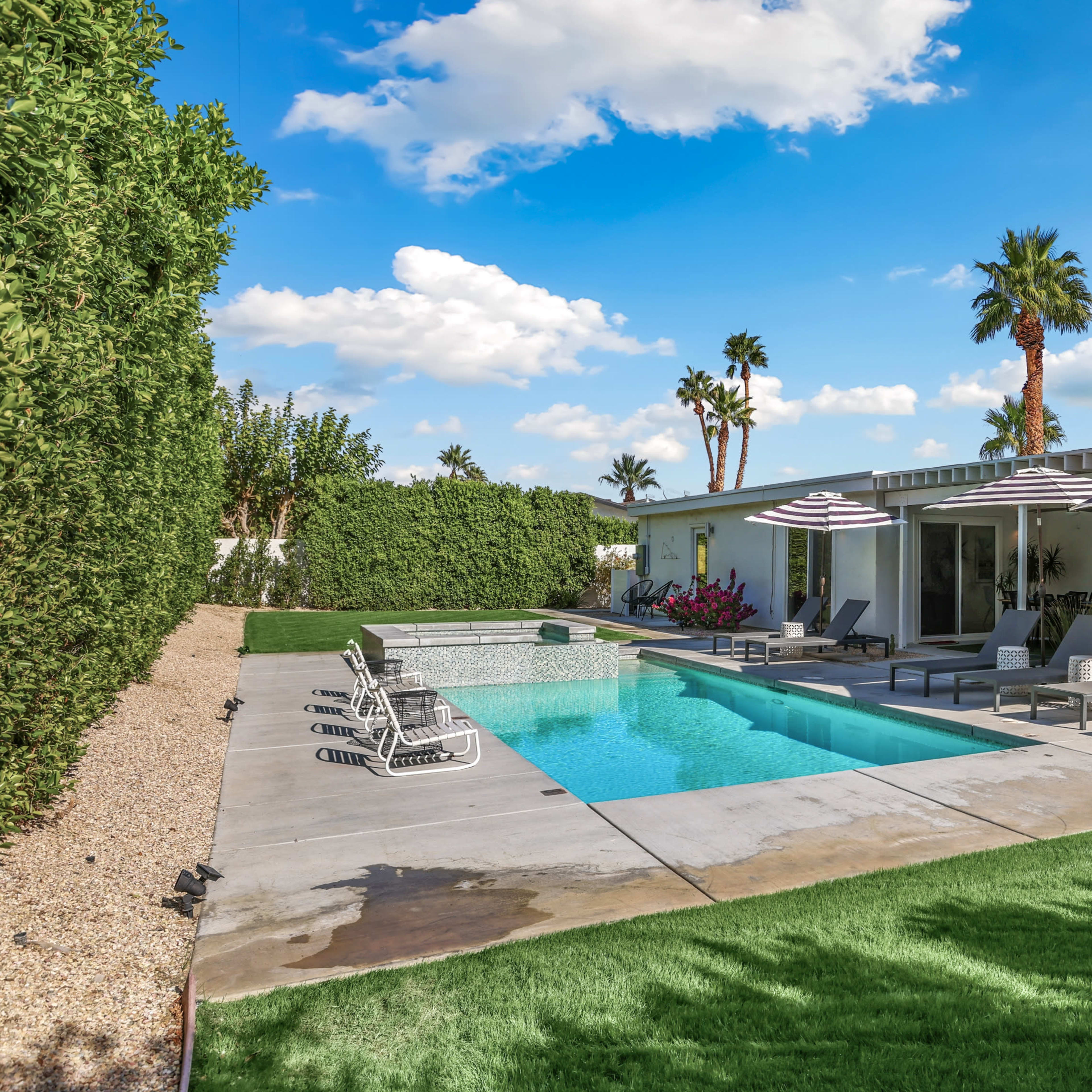 A modern backyard features a swimming pool surrounded by lounge chairs and shaded by striped umbrellas, with palm trees and green landscaping in the background.