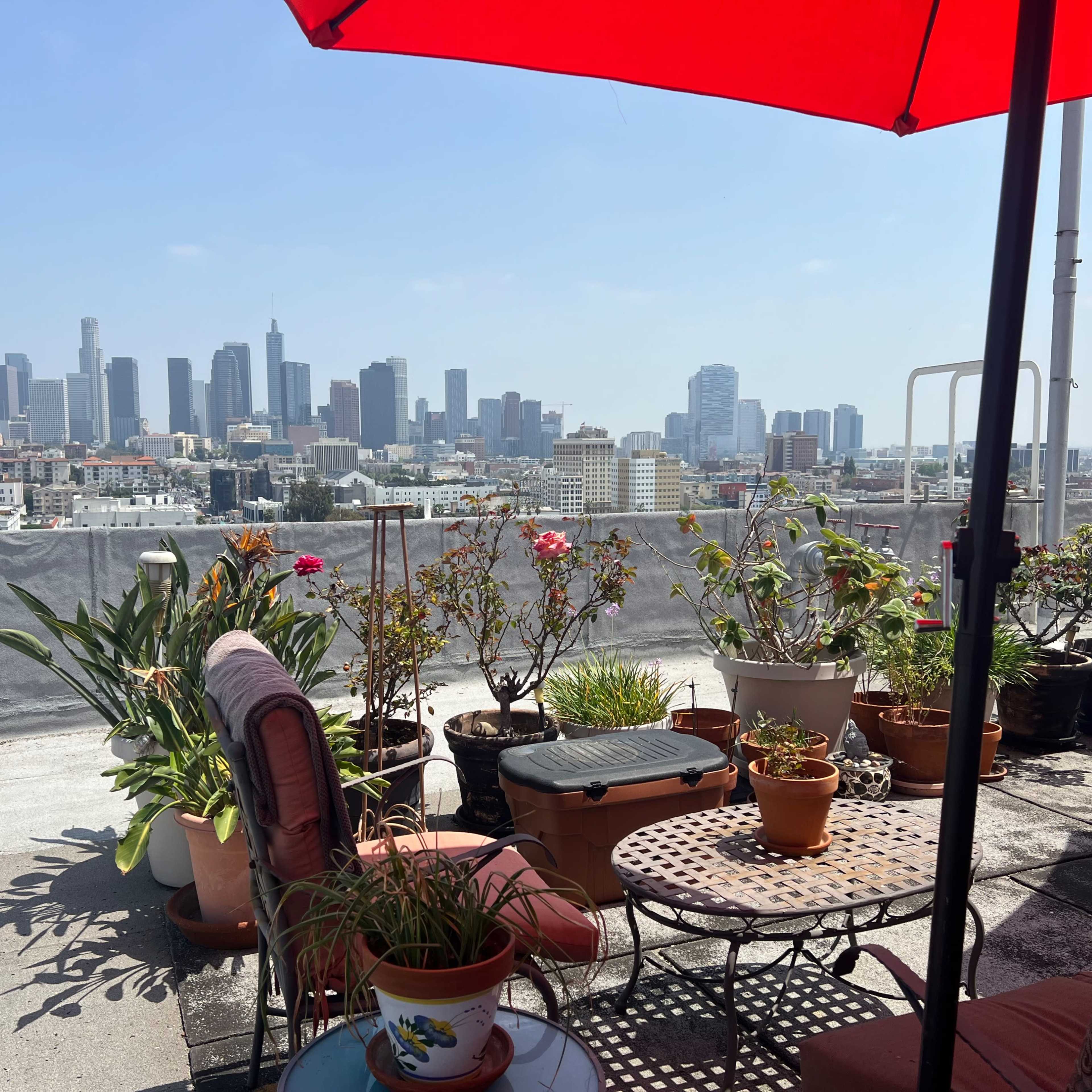 A rooftop terrace filled with potted plants and furniture overlooks a skyline of tall buildings.