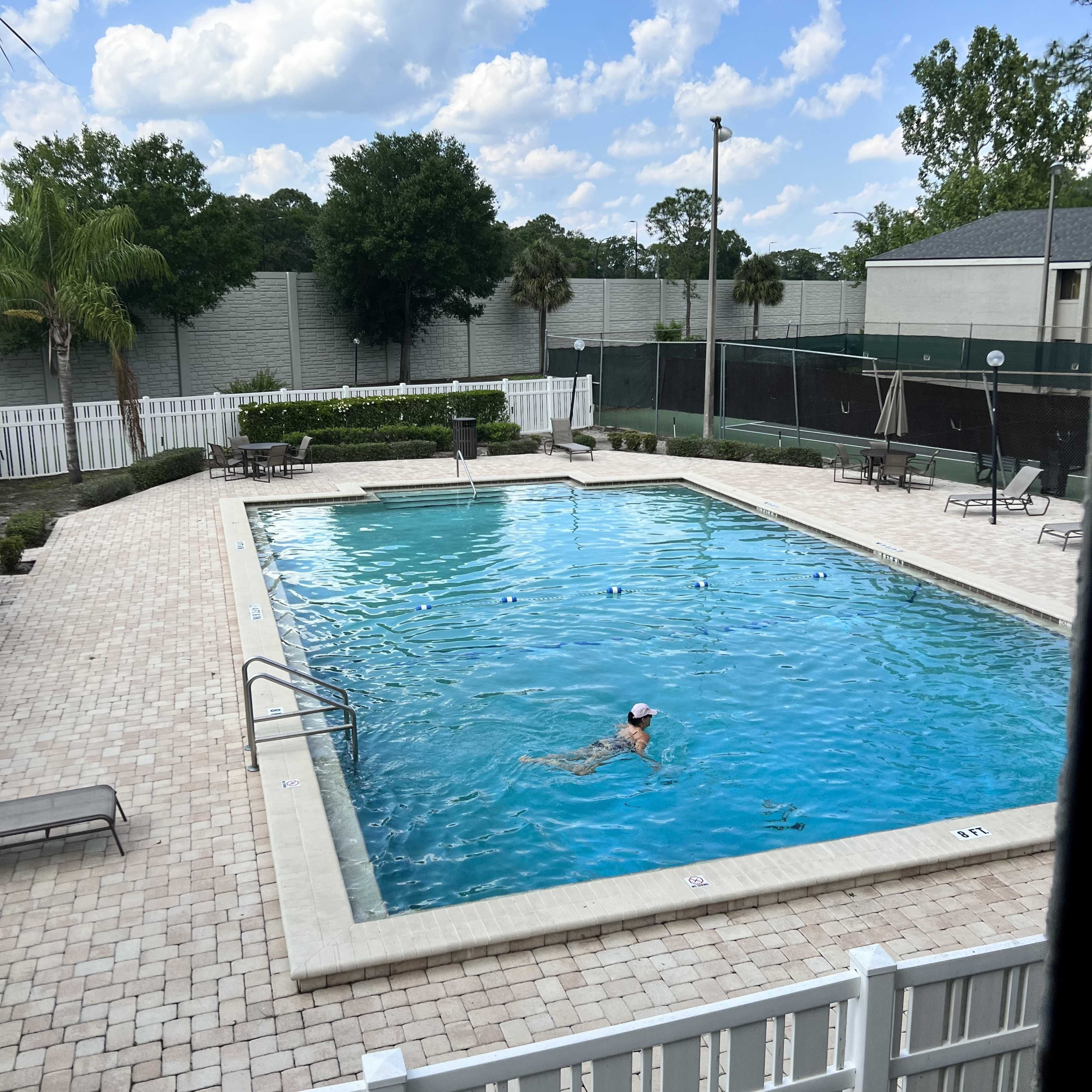 A person is swimming in a rectangular blue swimming pool surrounded by palm trees and a white fence.