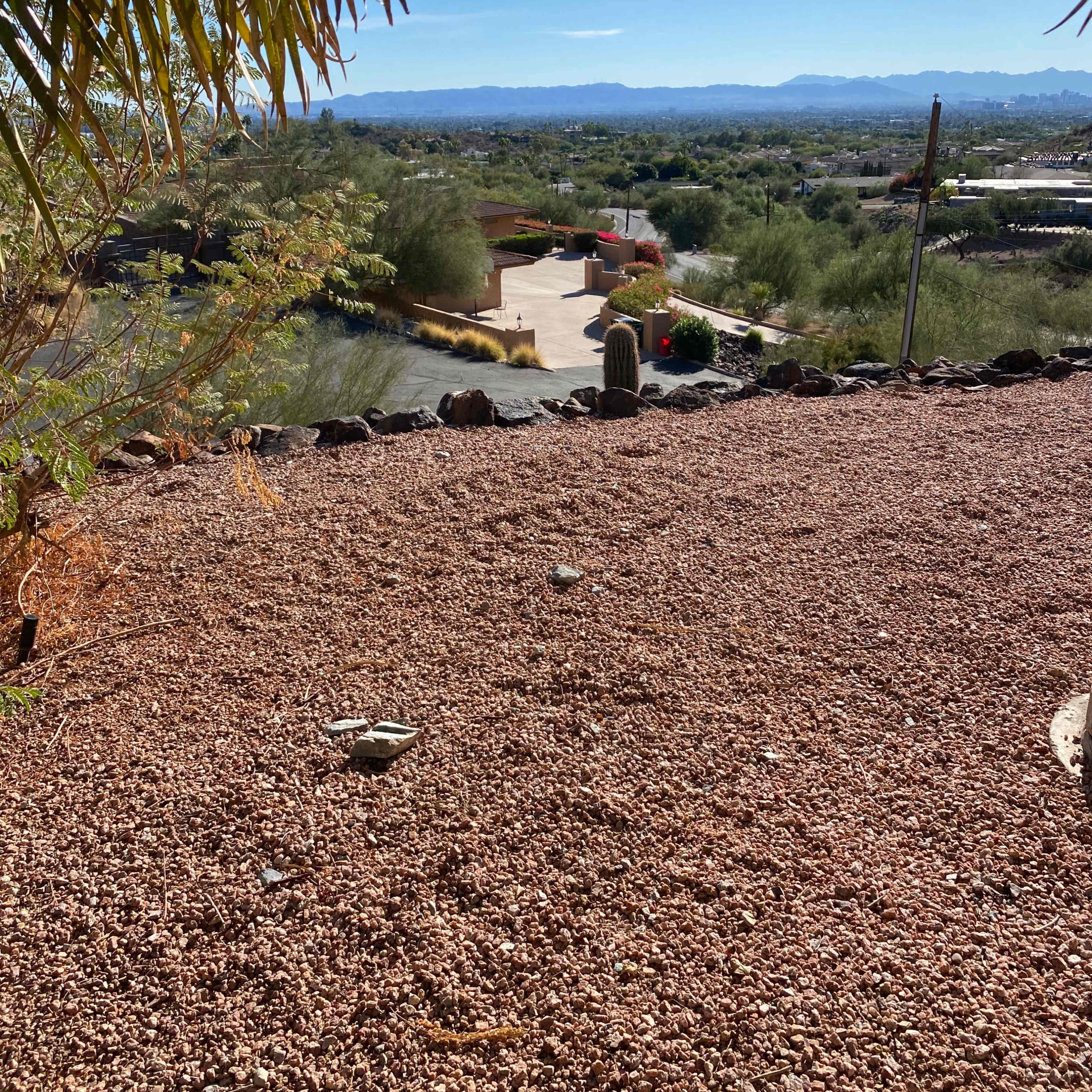 A desert landscape with rocky ground, sparse vegetation, and distant mountains under a clear blue sky.