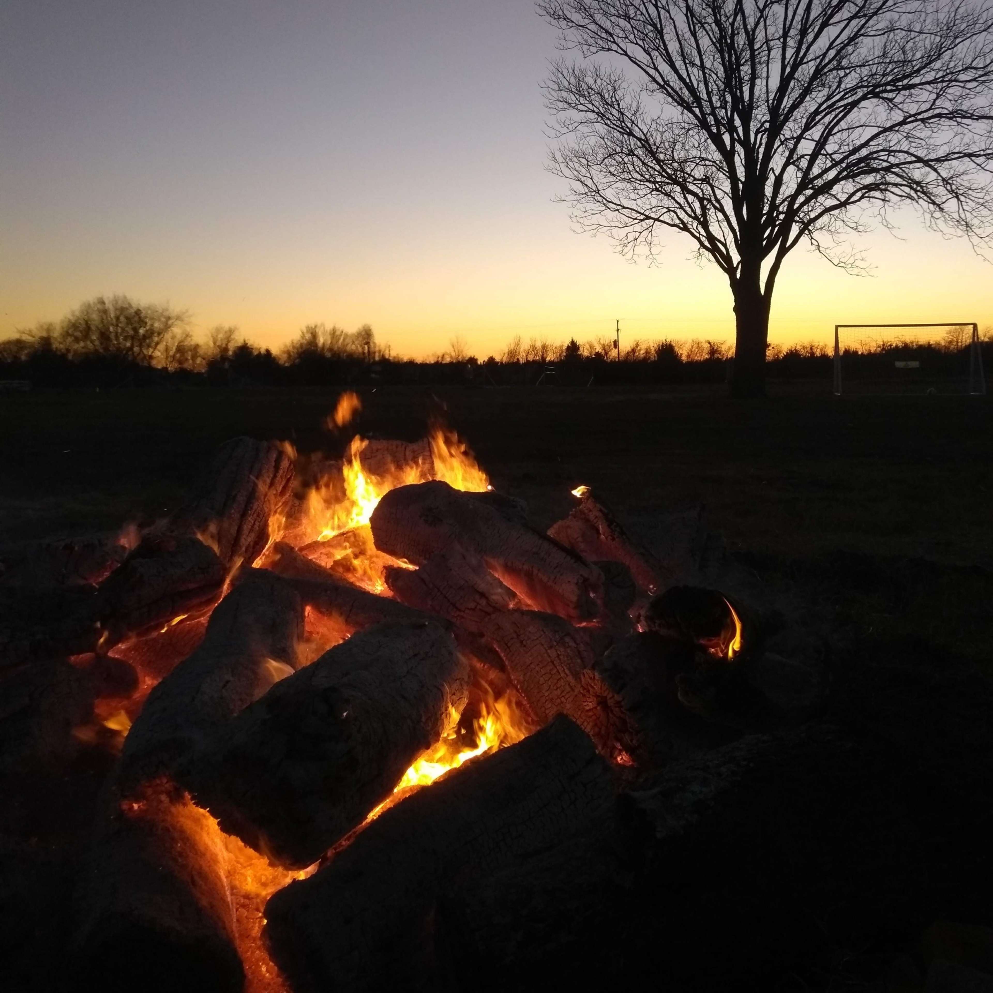 A bonfire burns brightly in the foreground while a bare tree stands silhouetted against a sunset sky.