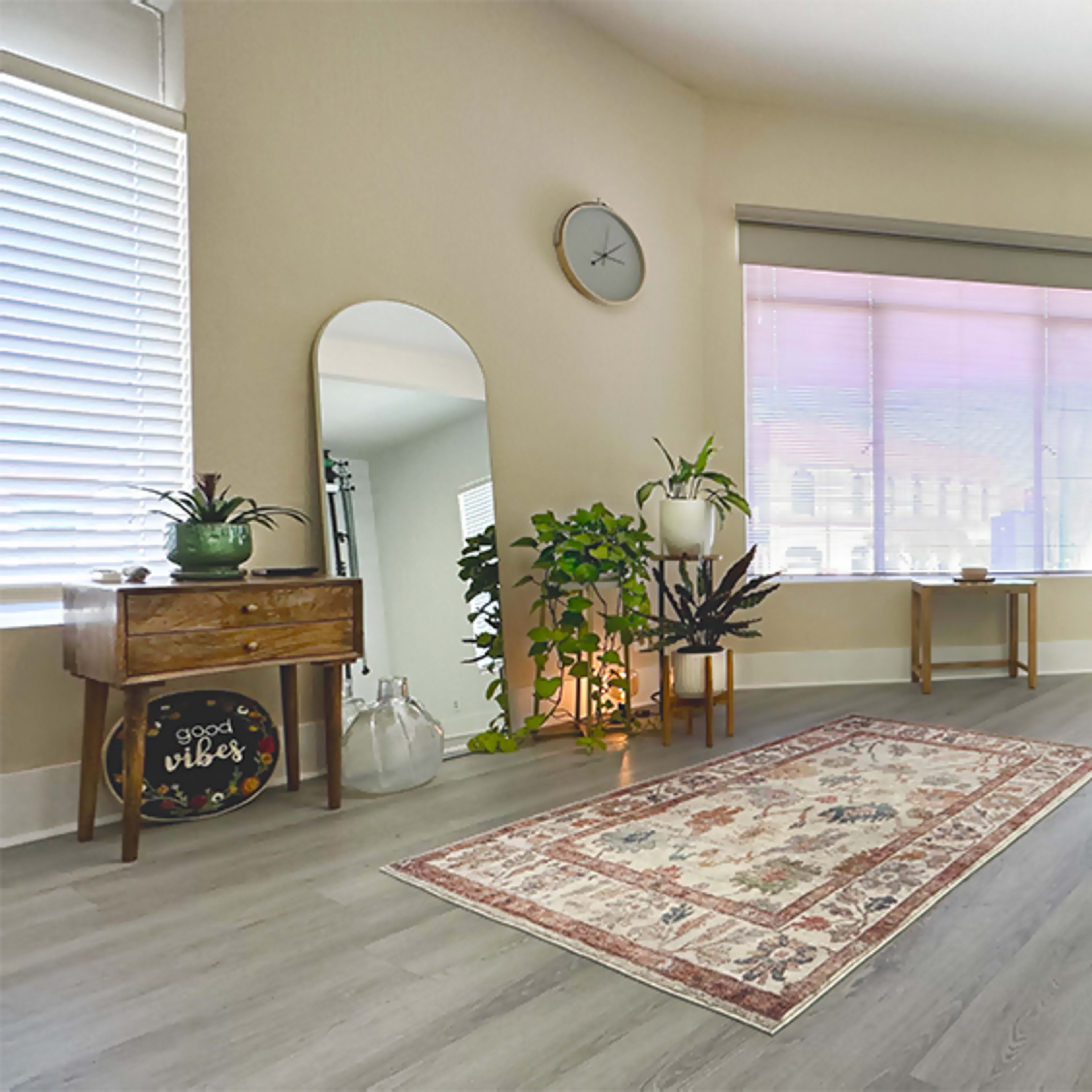 A spacious, well-lit room with a decorative rug, a vanity table, a large mirror, plants, and a window with blinds.