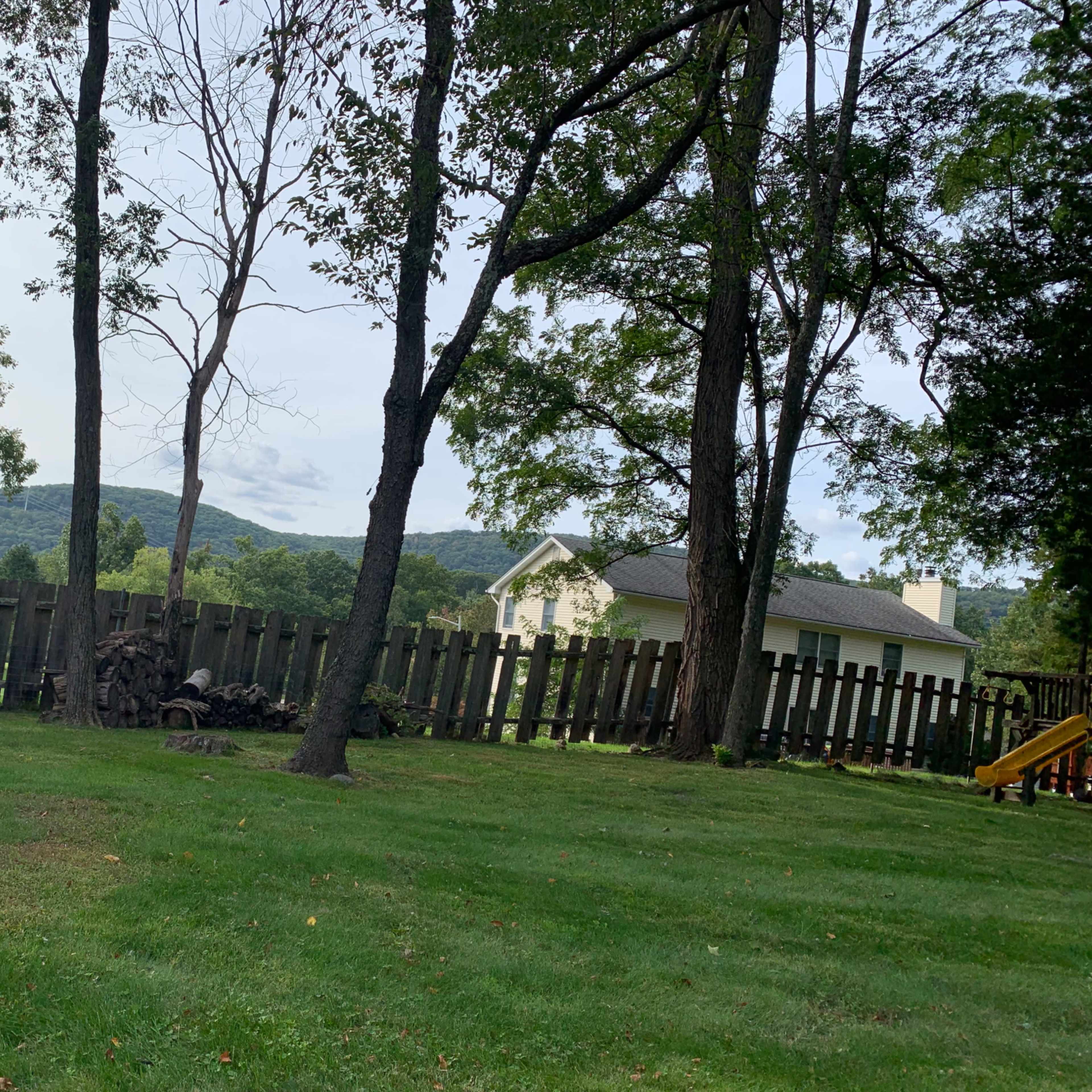 A grassy backyard features a wooden fence, trees, and a distant view of hills and a house.