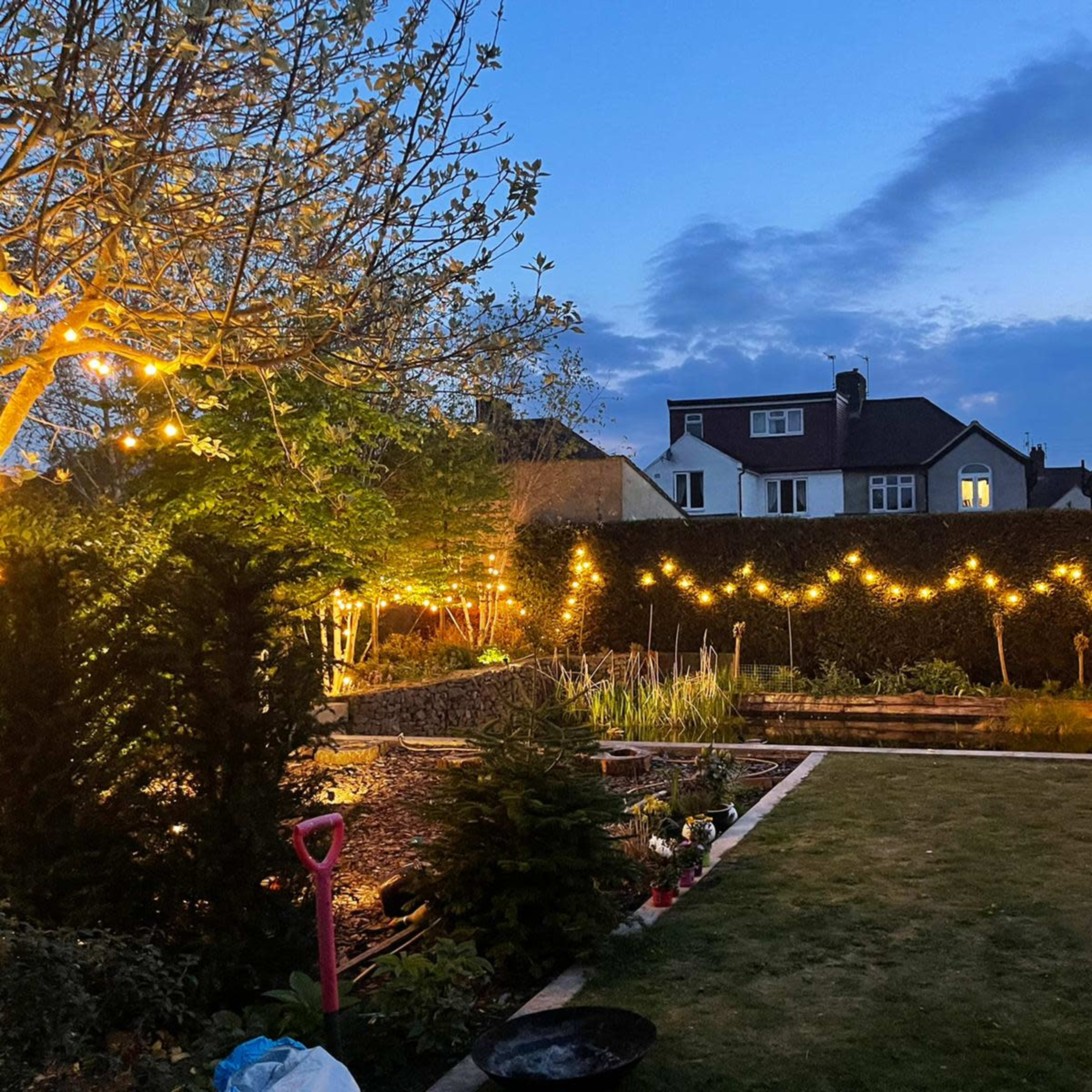 A garden at dusk, with string lights illuminating the space and various plants around a pond.