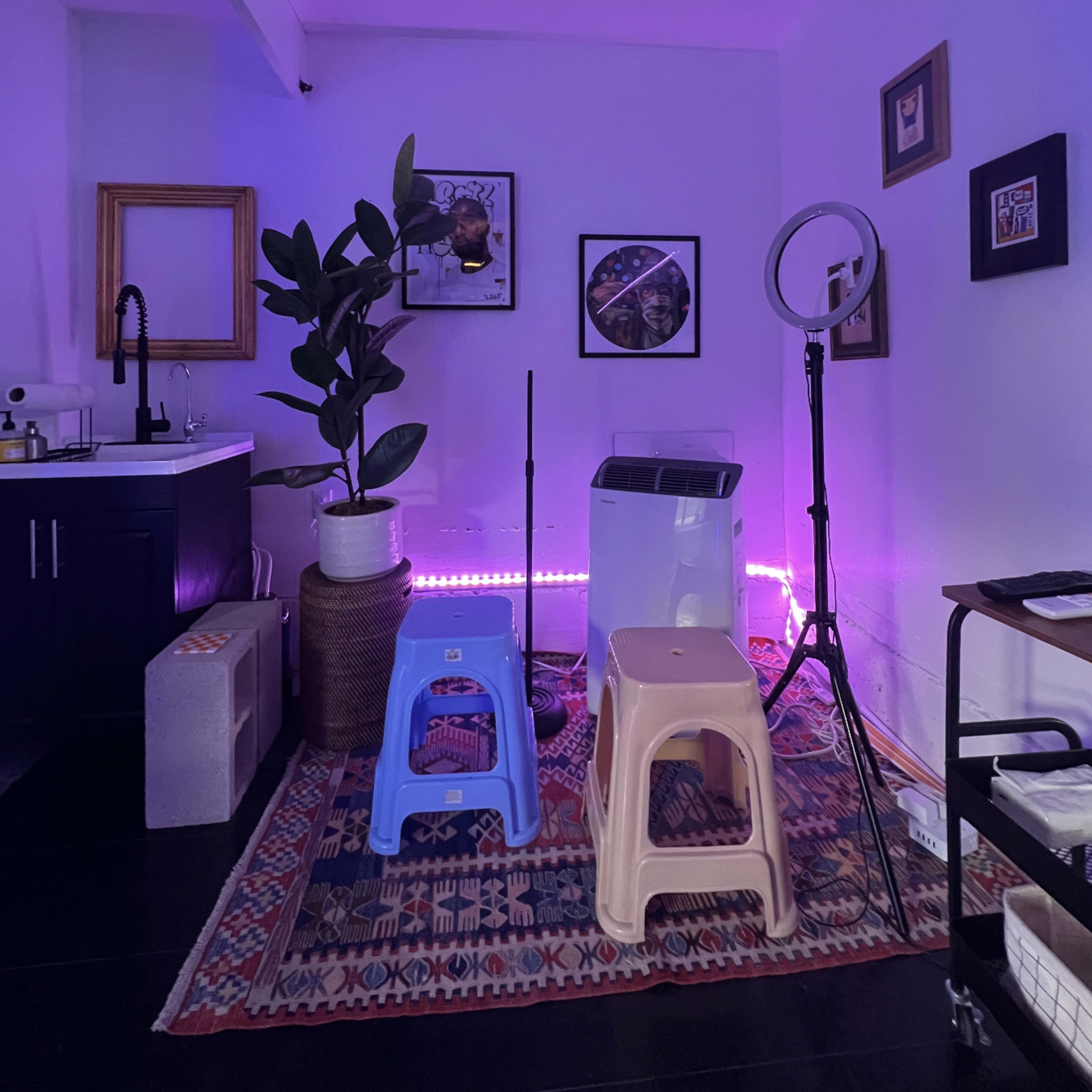 A room features a kitchenette, a large potted plant, a ring light, and several stools, all illuminated by purple LED lights.