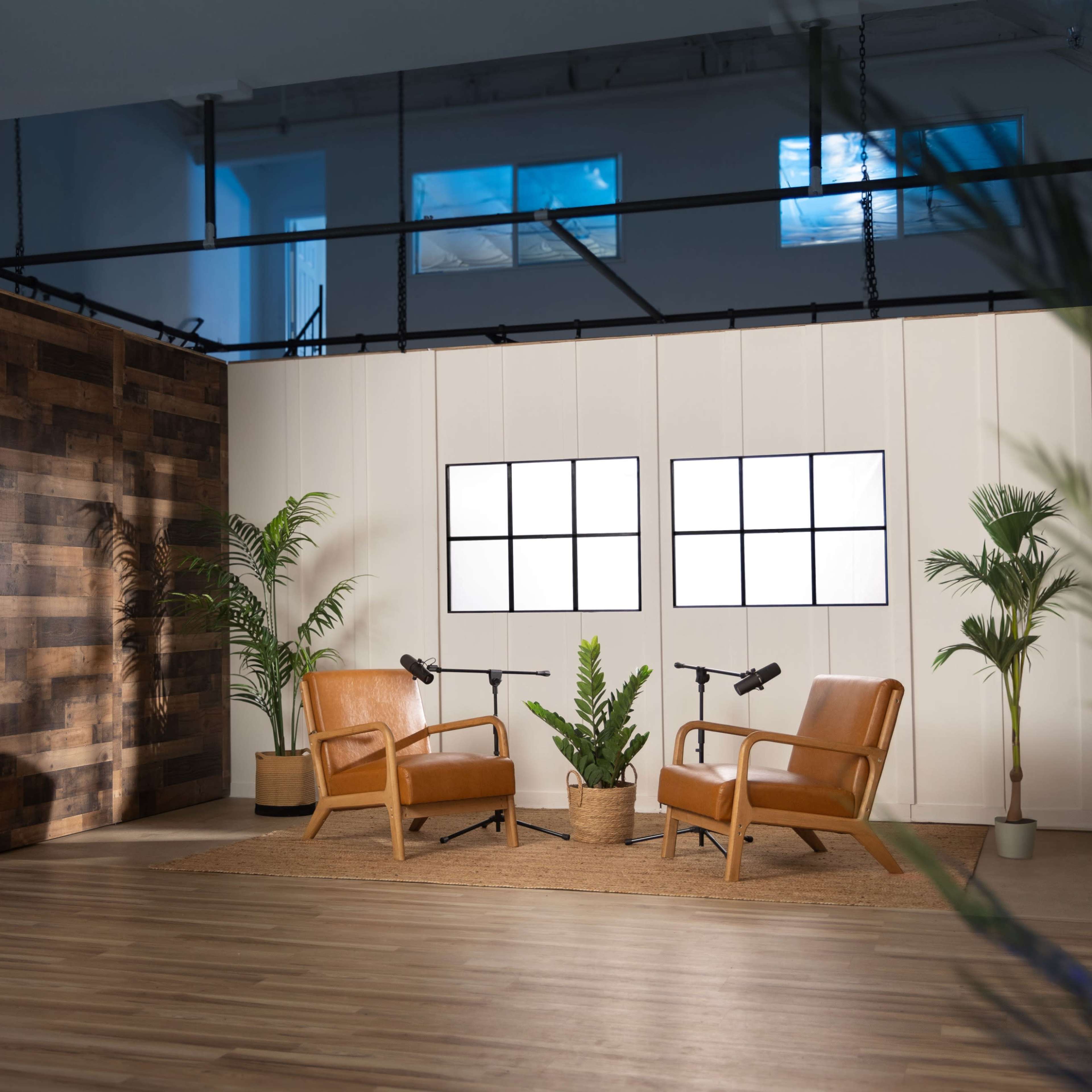 A modern studio setup features two leather chairs, a wooden backdrop, and potted plants, with large windows allowing natural light.