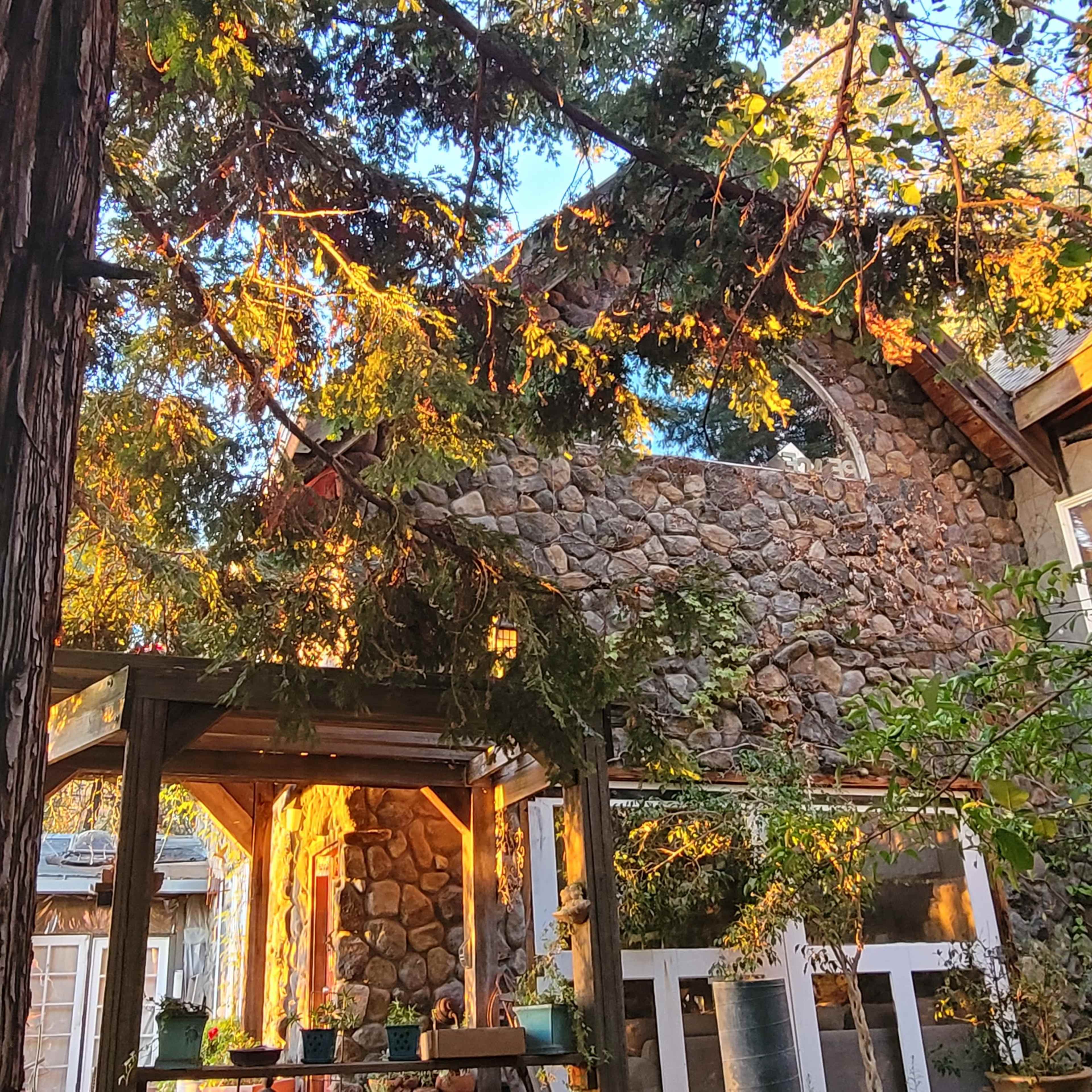 A sunlit stone house surrounded by trees and plants, with a wooden pergola in the foreground.