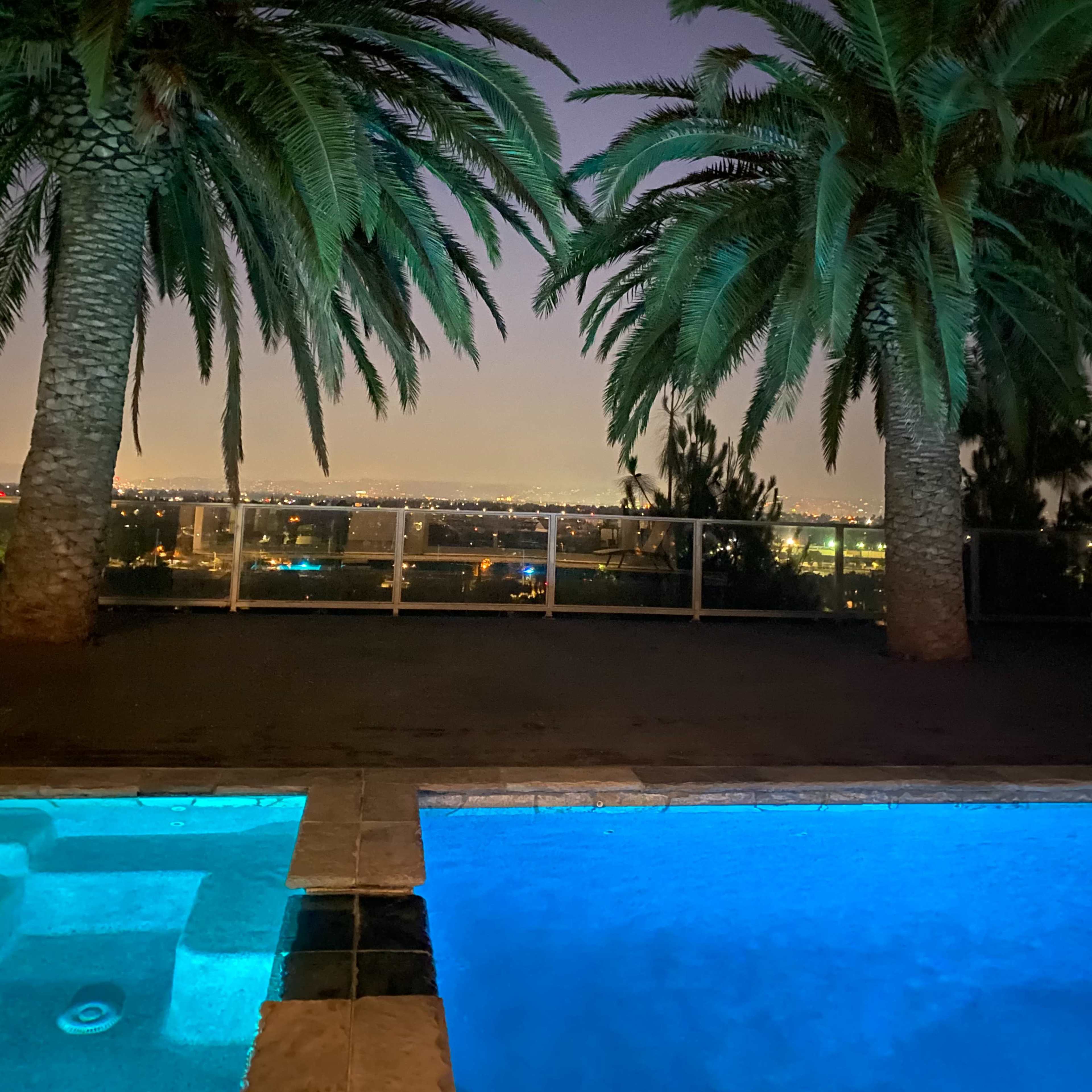 A nighttime scene featuring two tall palm trees beside a illuminated pool with a city skyline in the background.