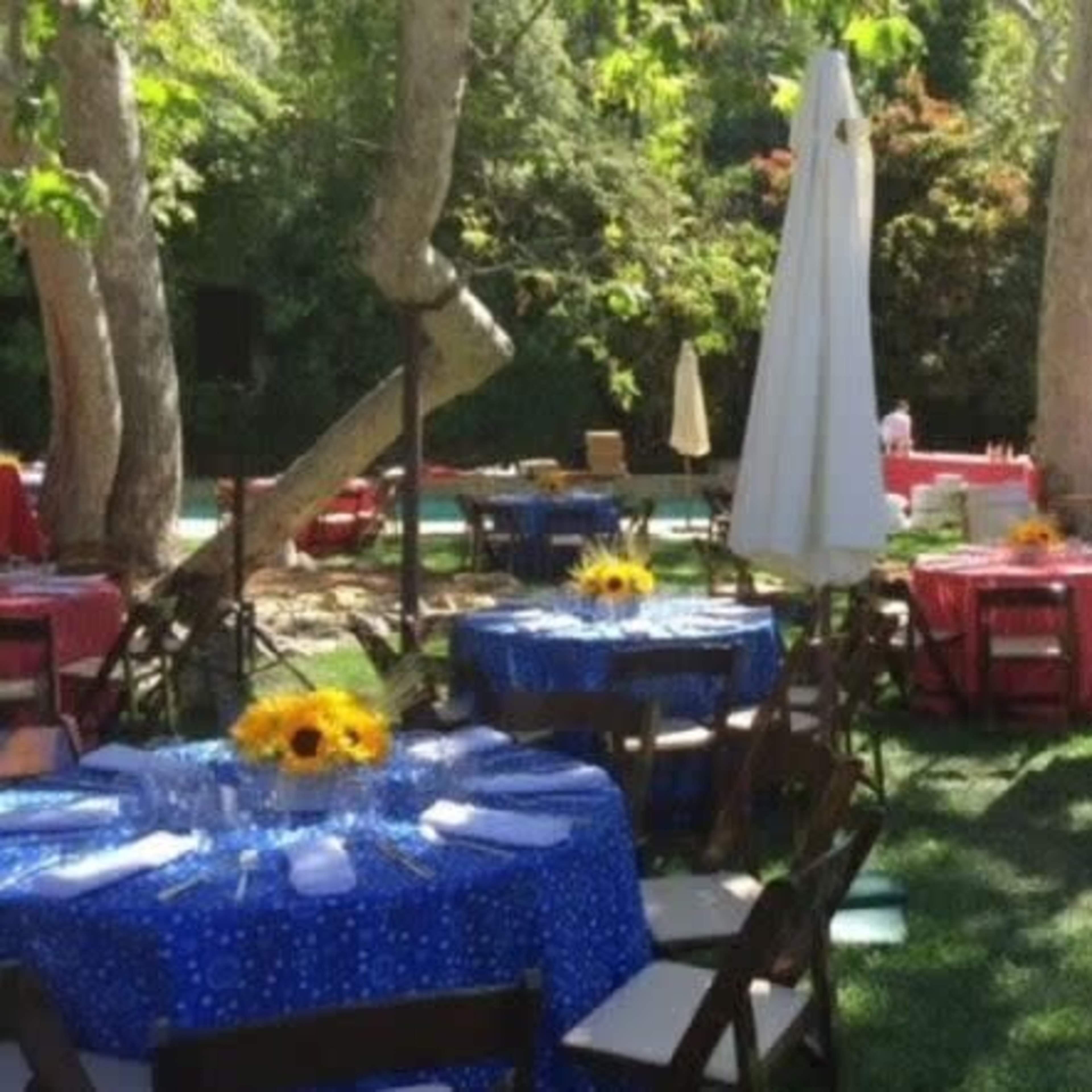 The scene features outdoor dining tables adorned with blue and red tablecloths, with sunflowers as centerpieces, set up under large umbrellas in a garden setting.
