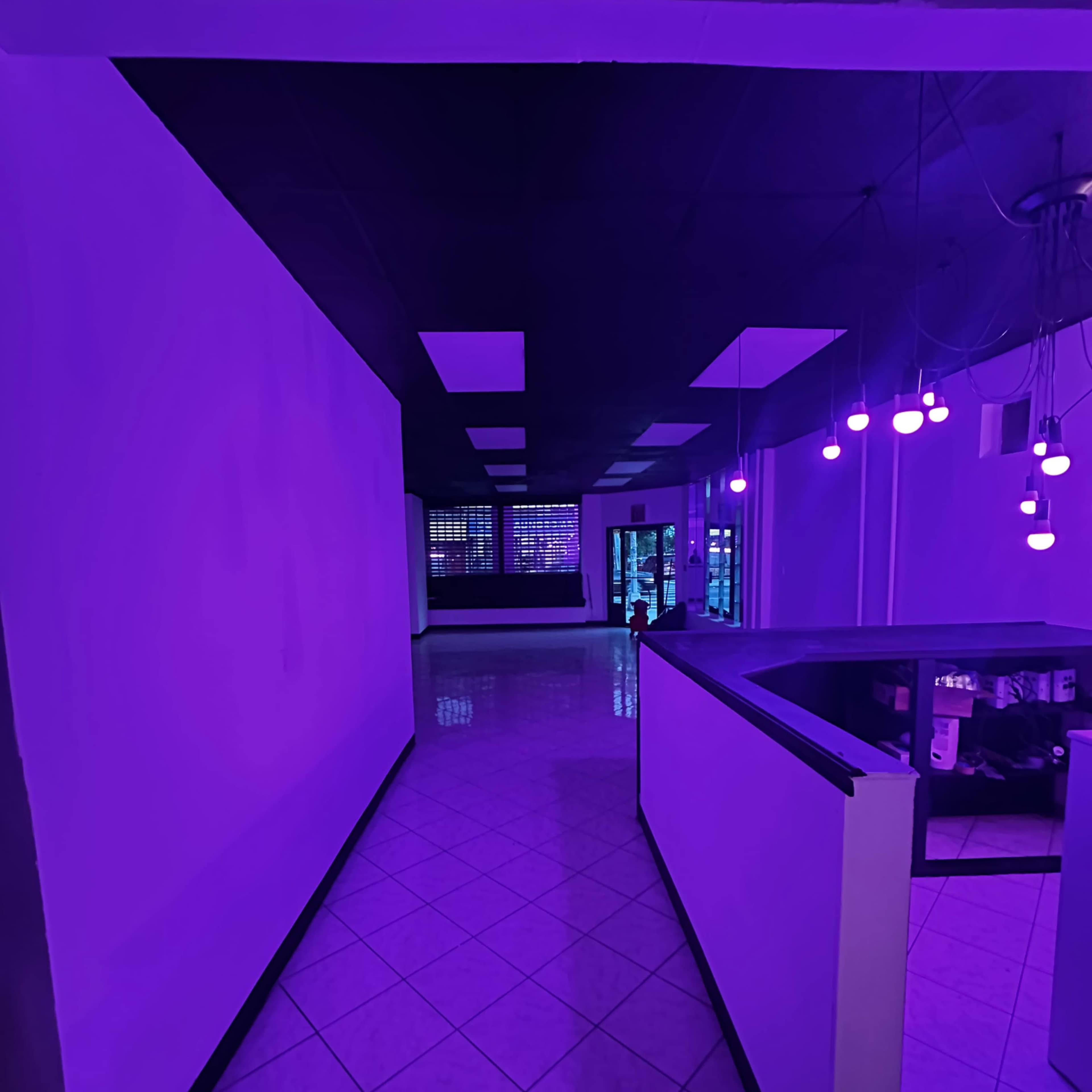 Flatbush event space Image in Little Caribbean, Brooklyn, NY