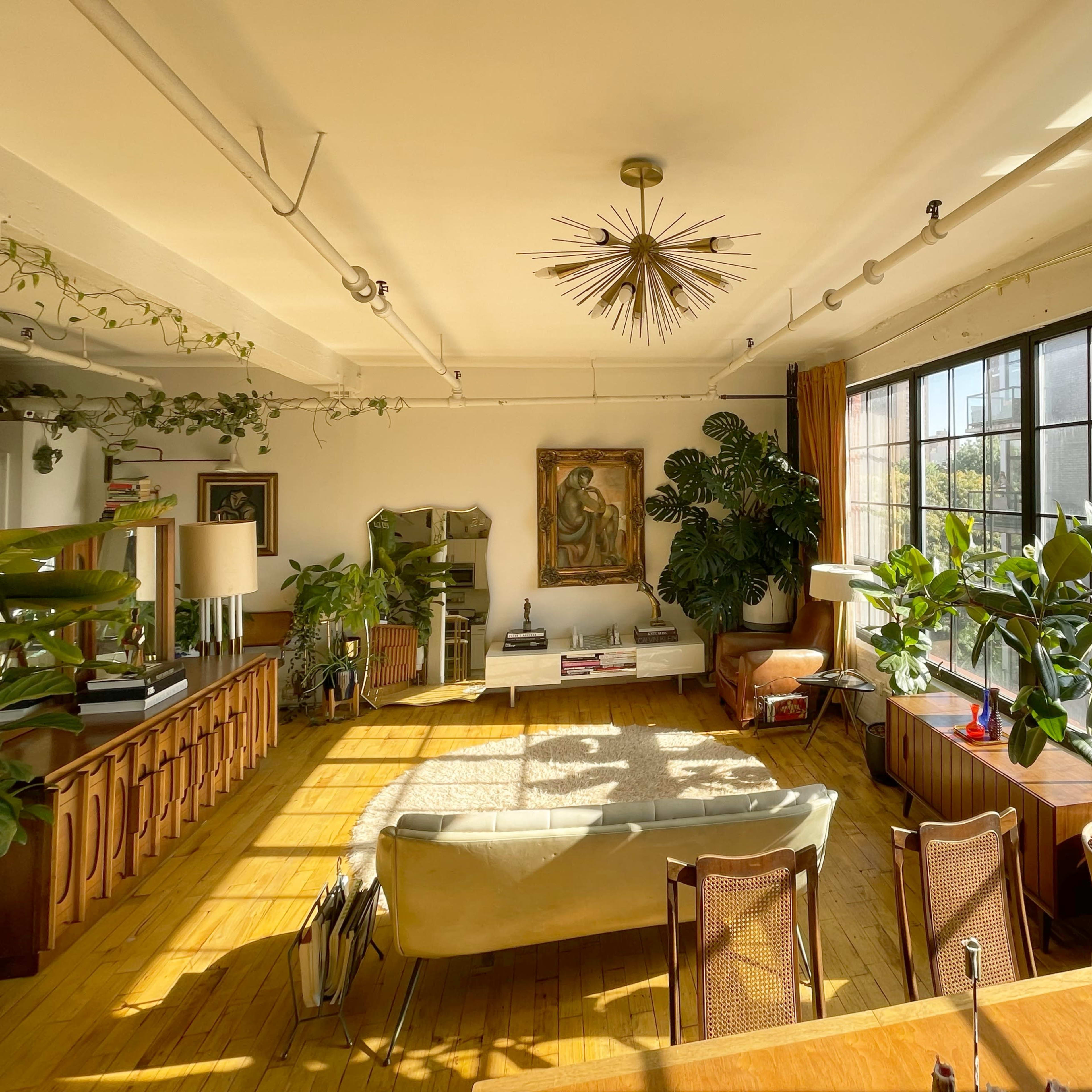 The room features large windows that fill the space with natural light, showcasing a mix of plants, furniture, and artwork.